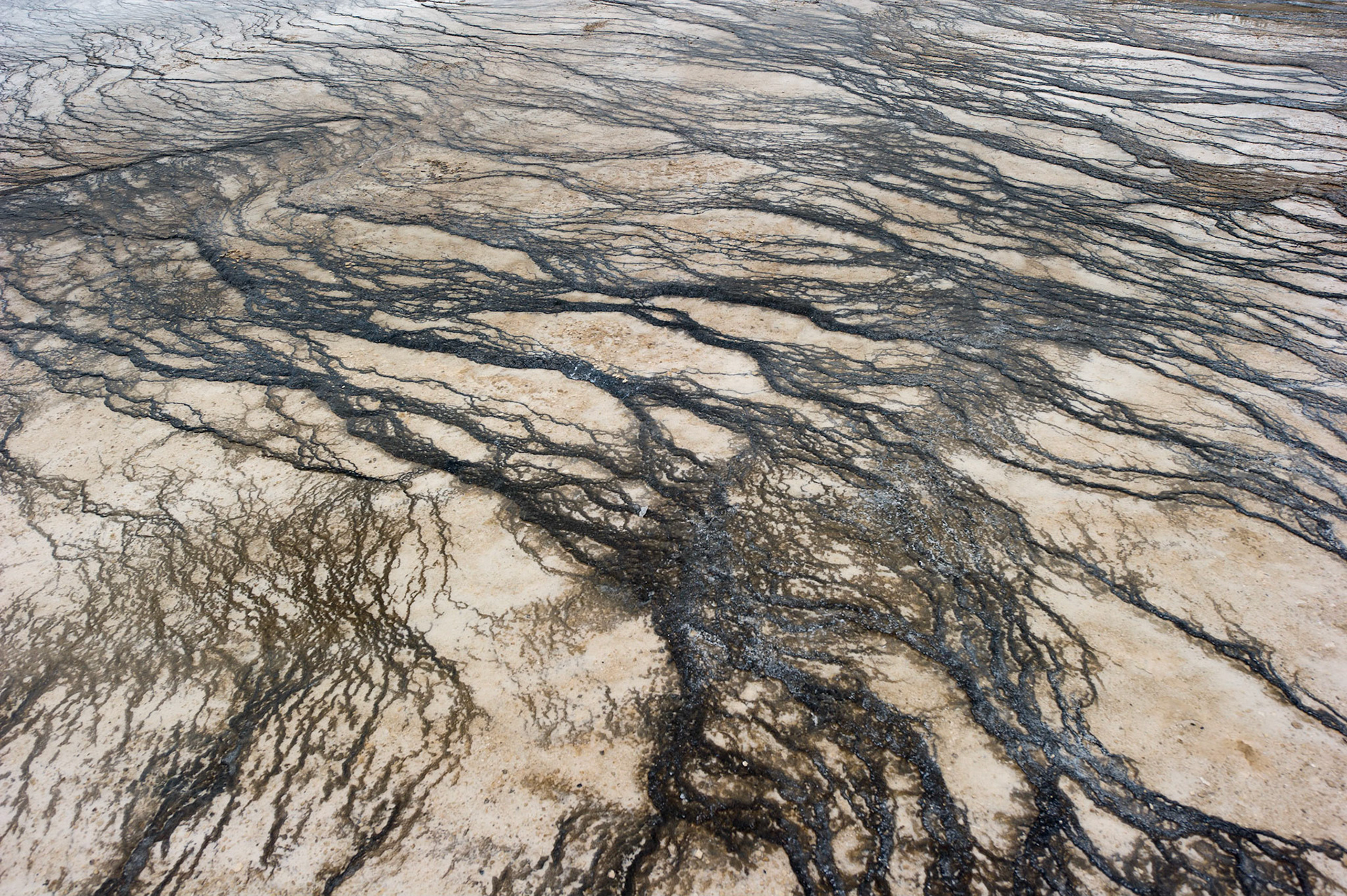 Excelsior Geyser Crater - Yellowstone, Montana
