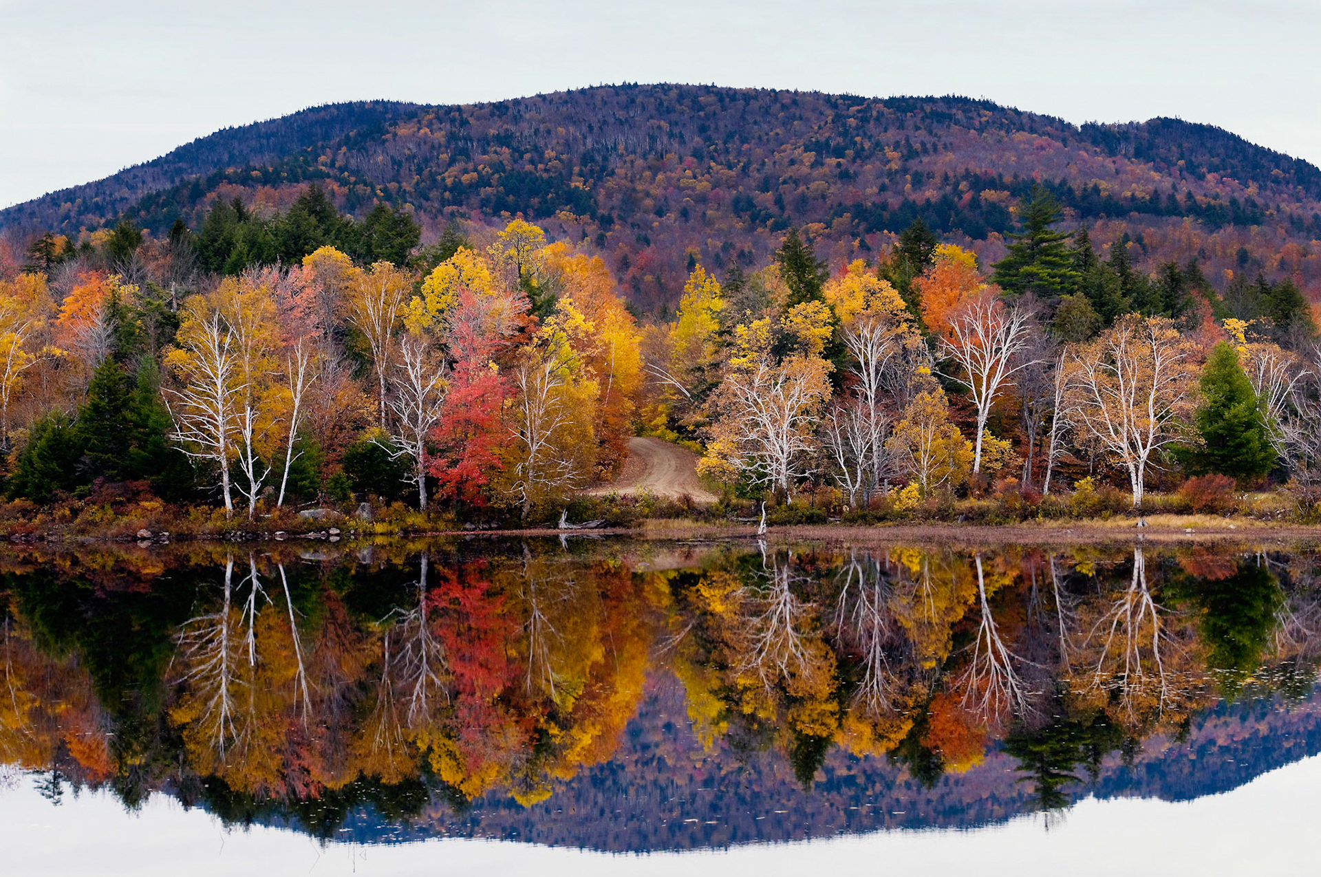 Tupper Lake Reflections - Tupper Lake, New York
