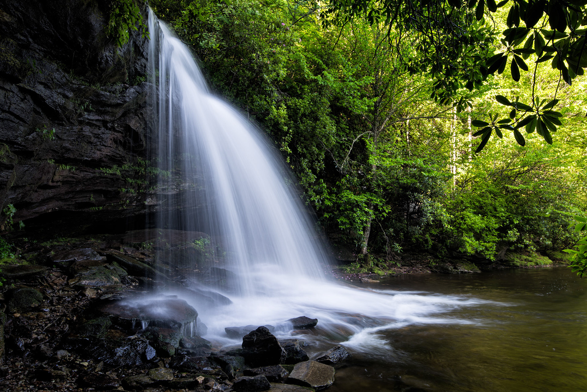 Andrew Rosser - USA - Southeast Nature/Landscapes