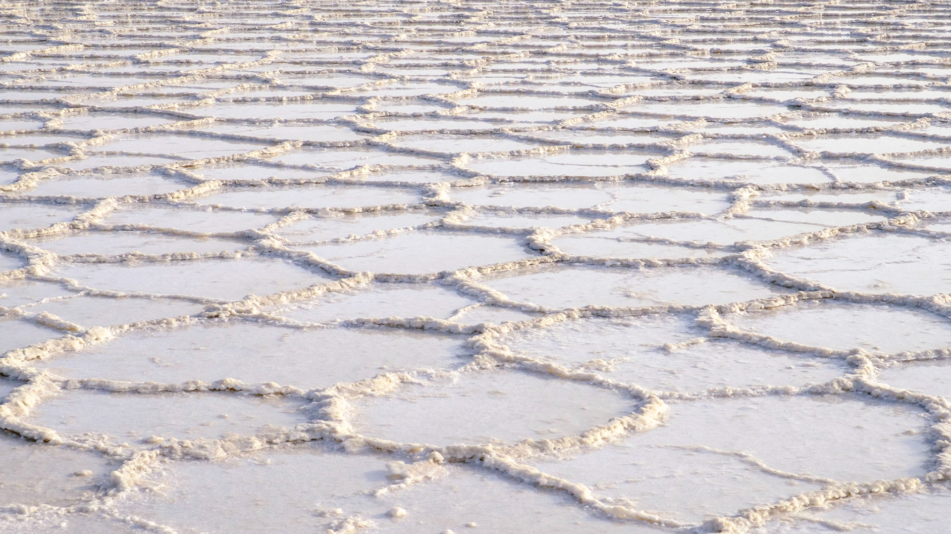 Water and Salt at Sunrise - Lake Asale, Danakil Depression, Ethiopia