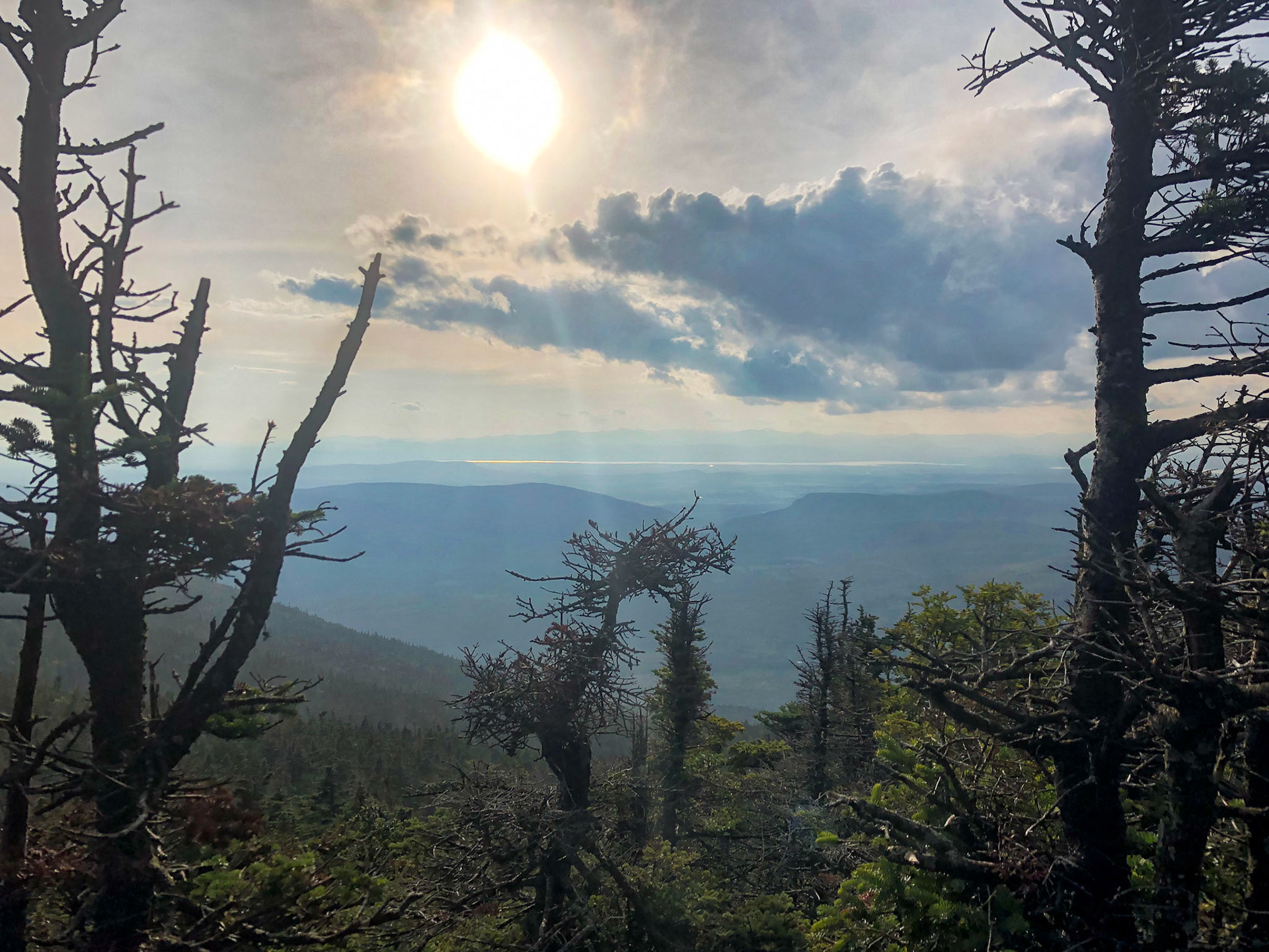 Sugarbush - VT