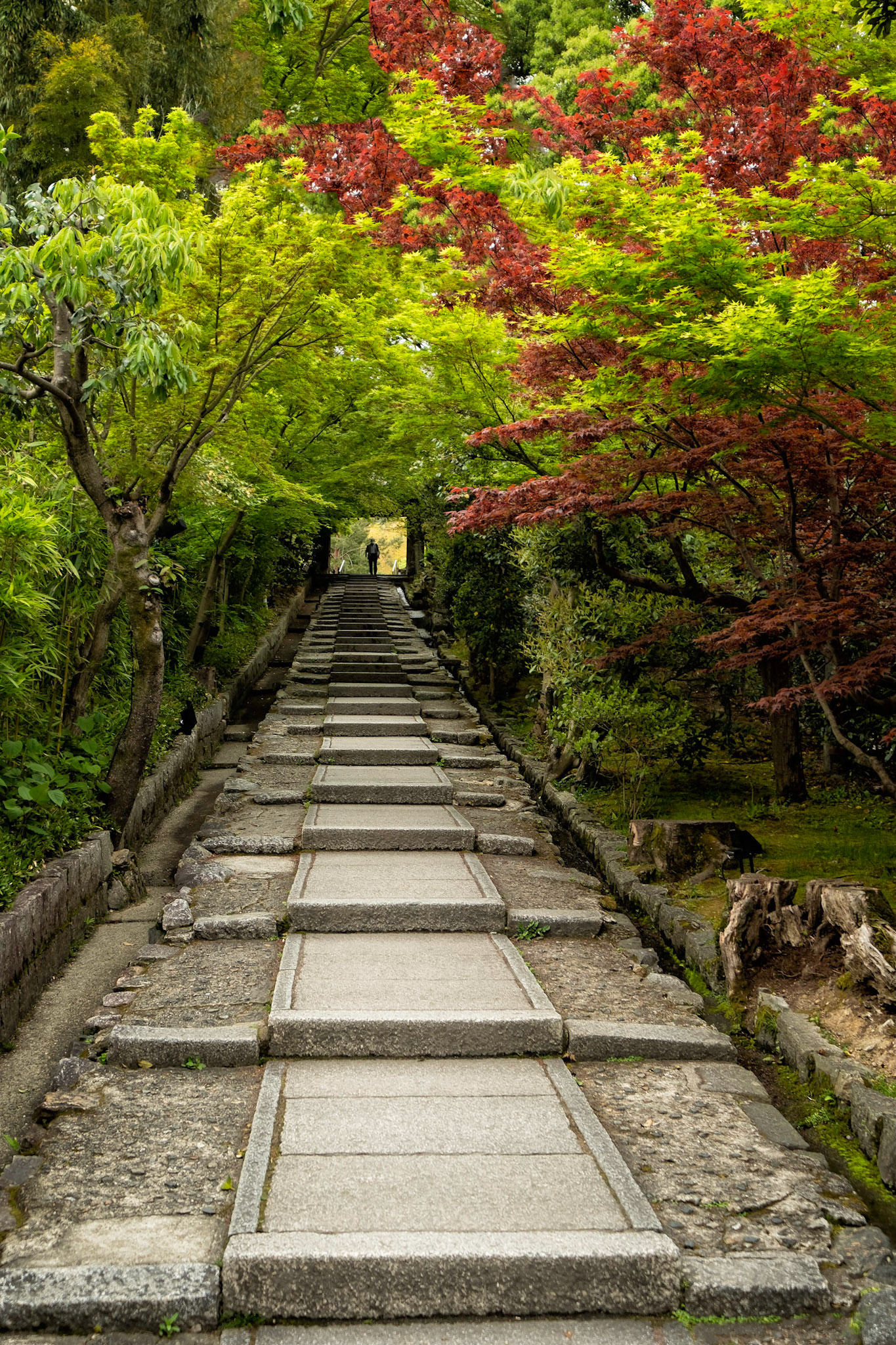 Higashiyama Ward - Kyoto, Japan