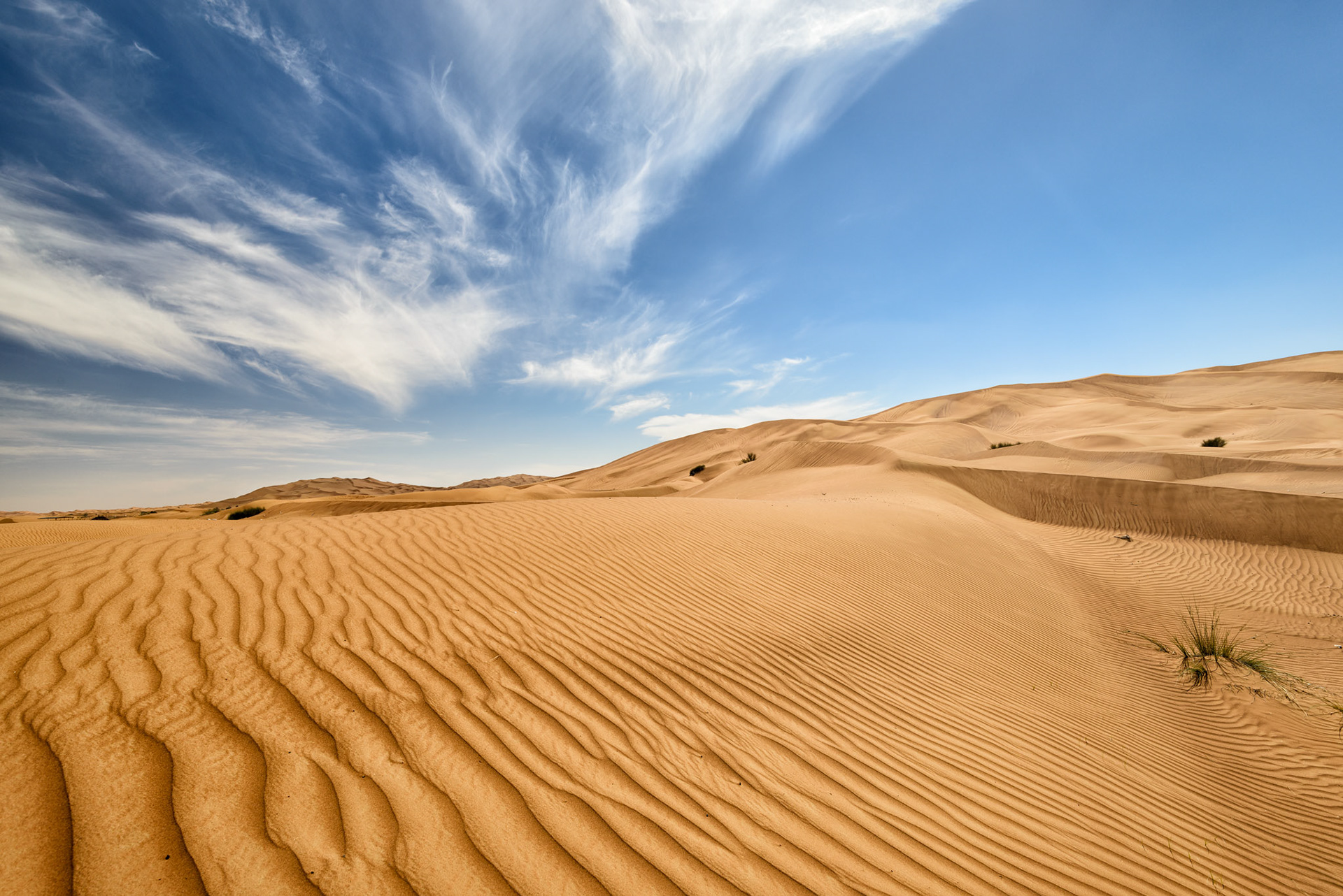 Big Red - Dubai, UAE