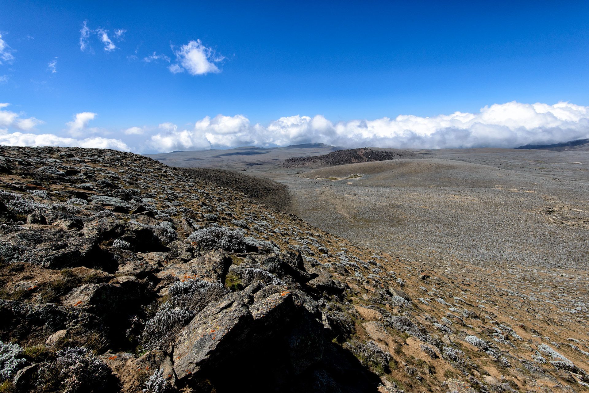 Weather Moving In - Sanetti Plateau, Bale Mountain National Park, Ethiopia