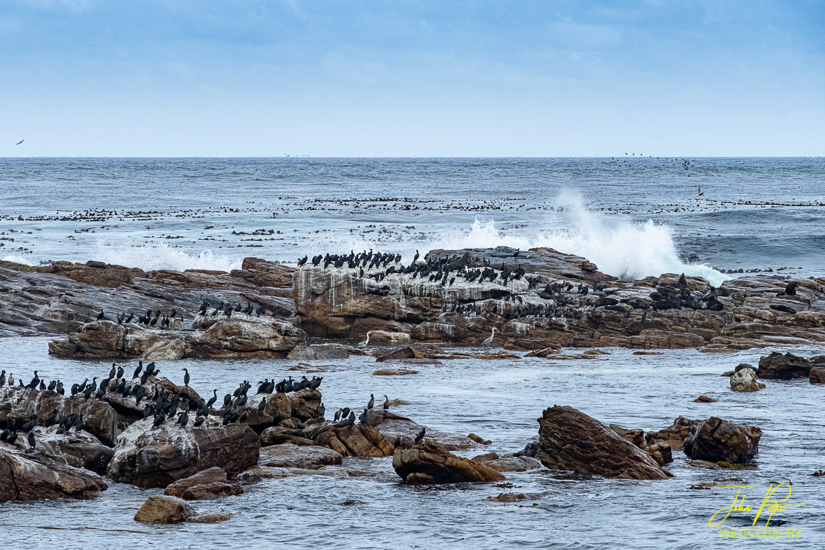 Cape of Good Hope, South Africa
