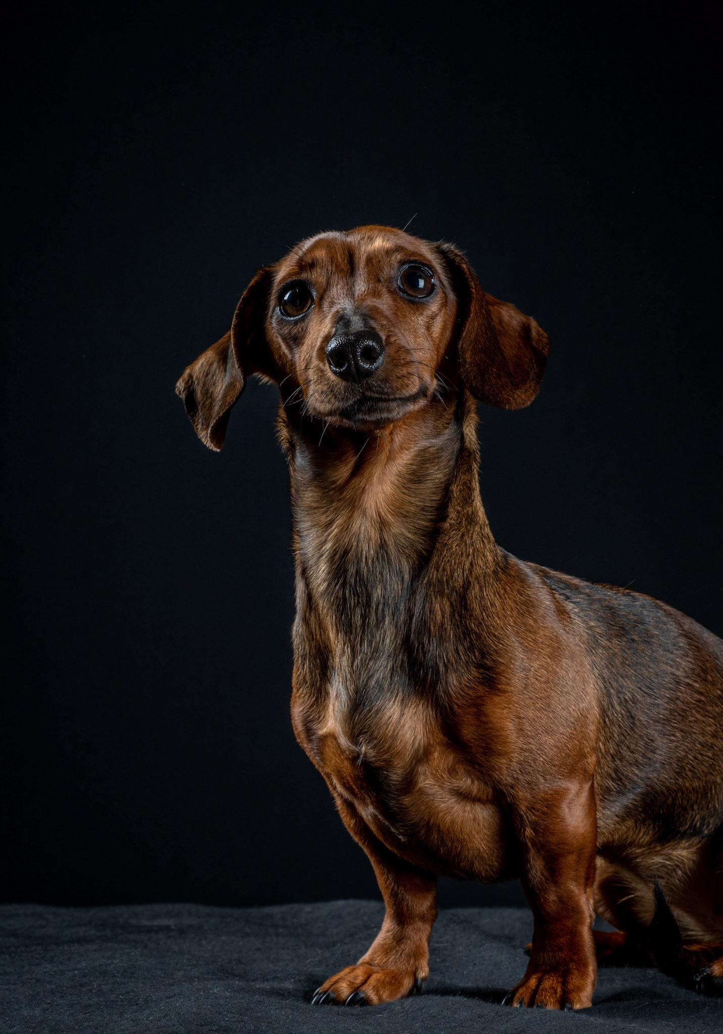 Portrait photographer Sudbury, Suffolk