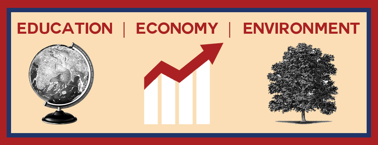 Education, Economy, Environment, Local political campaign