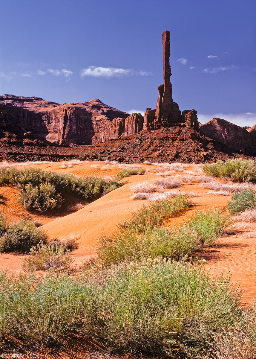 Totem Pole sandstone formations rise beyond desret brush on dunes in Monument Valley, Arizona