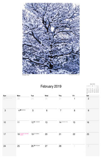 February 2019 scenic calendar, nature photograph