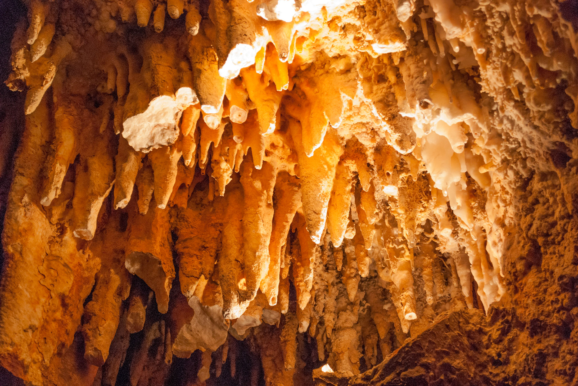 Stalagtiten in den Grottes du Limousis