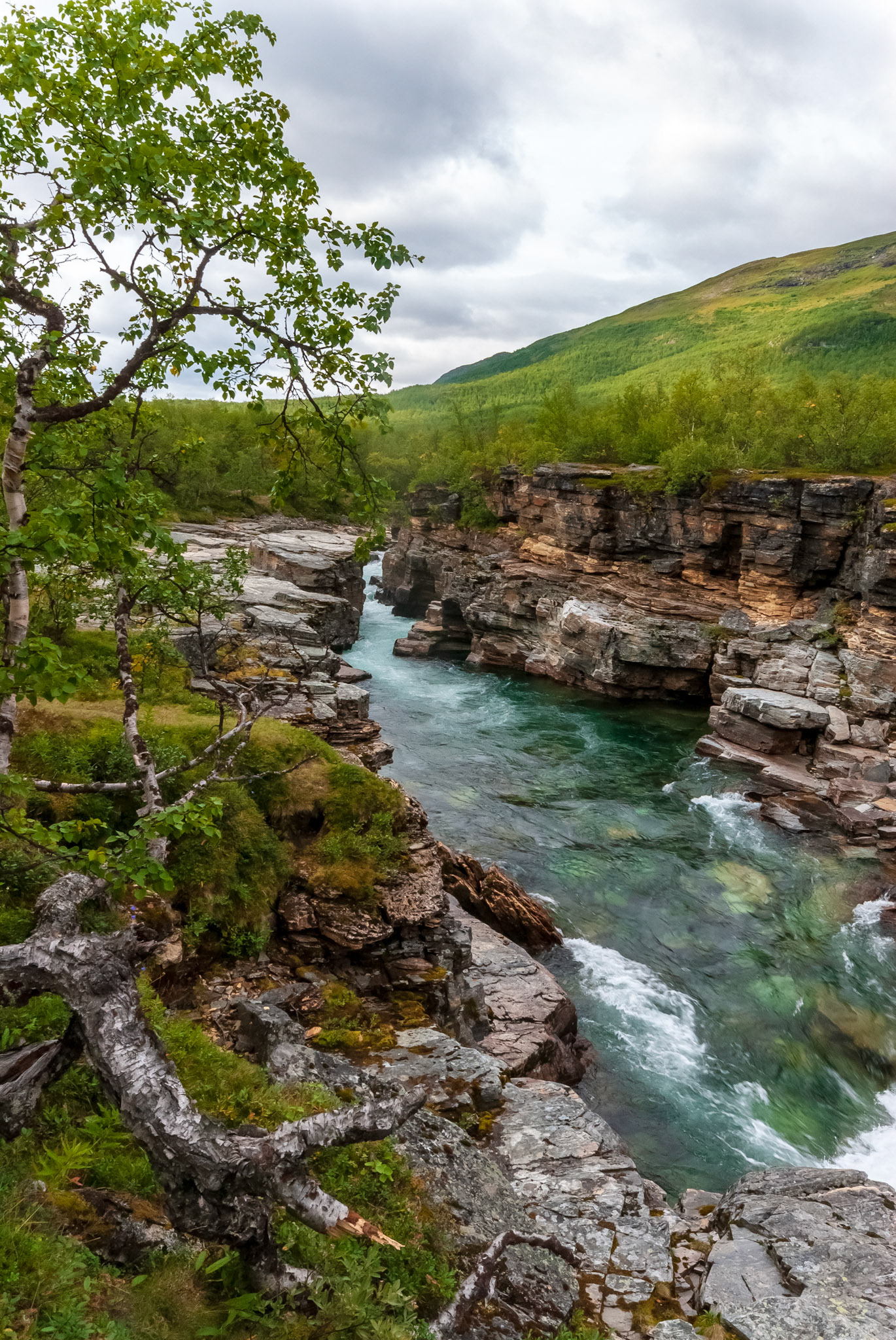 Abisko Kanjon, Abiskojokken