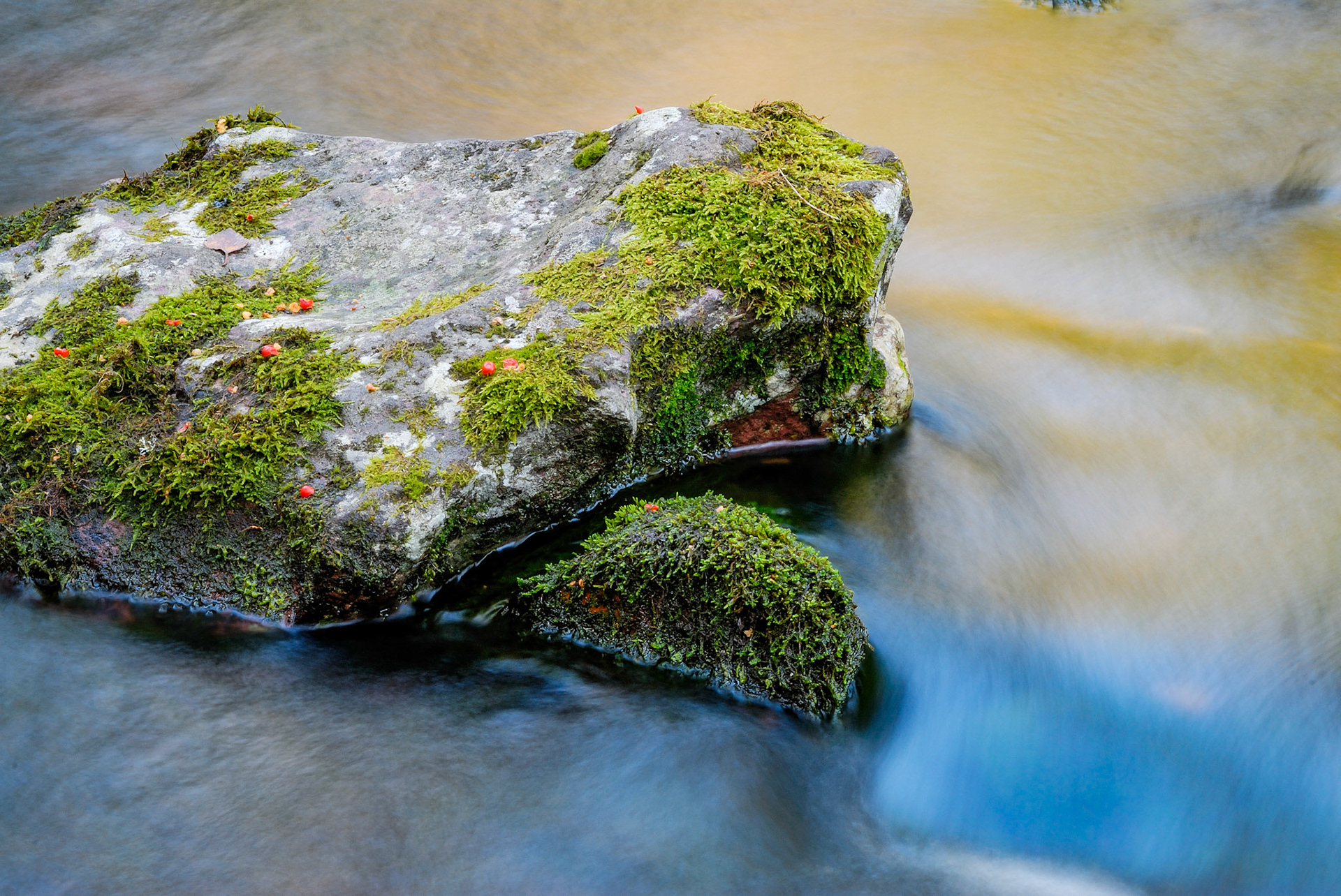 Vattendrag i Njupeskärs Nationalpark