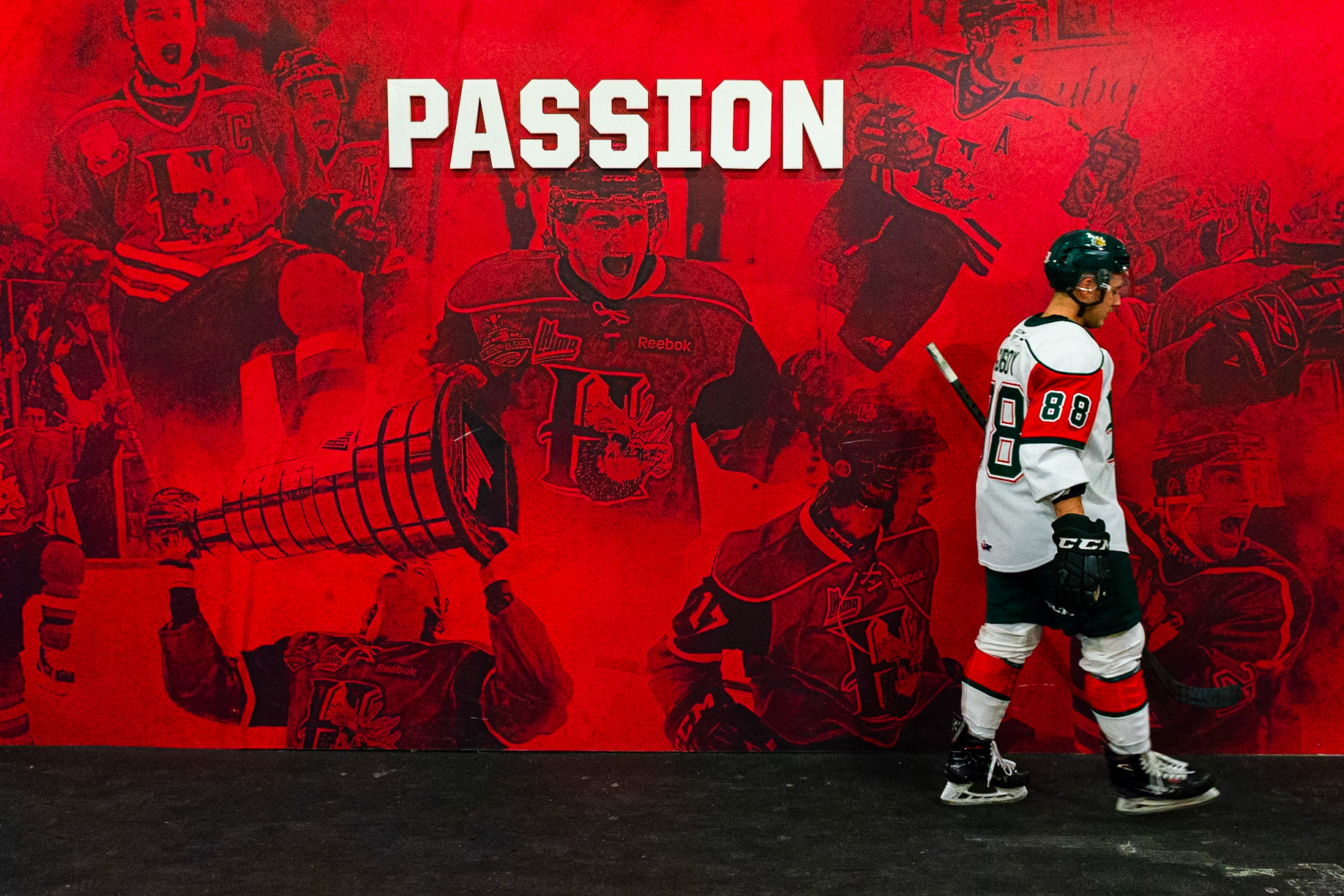 QMJHL - Halifax Mooseheads vs Gatineau Olympiques - Scotiabank Center, Halifax, Nova Scotia - January 23, 2020. (Trevor MacMillan/Halifax Mooseheads)