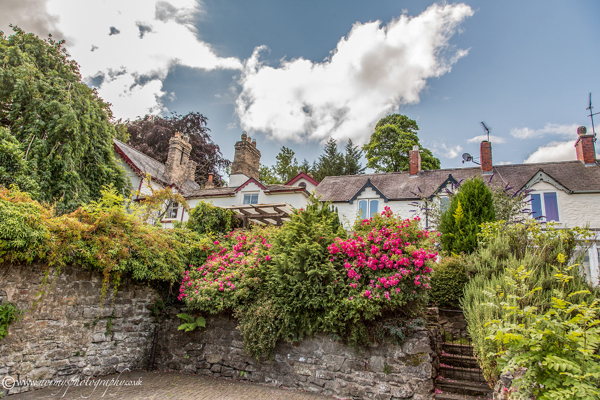 Nice houses