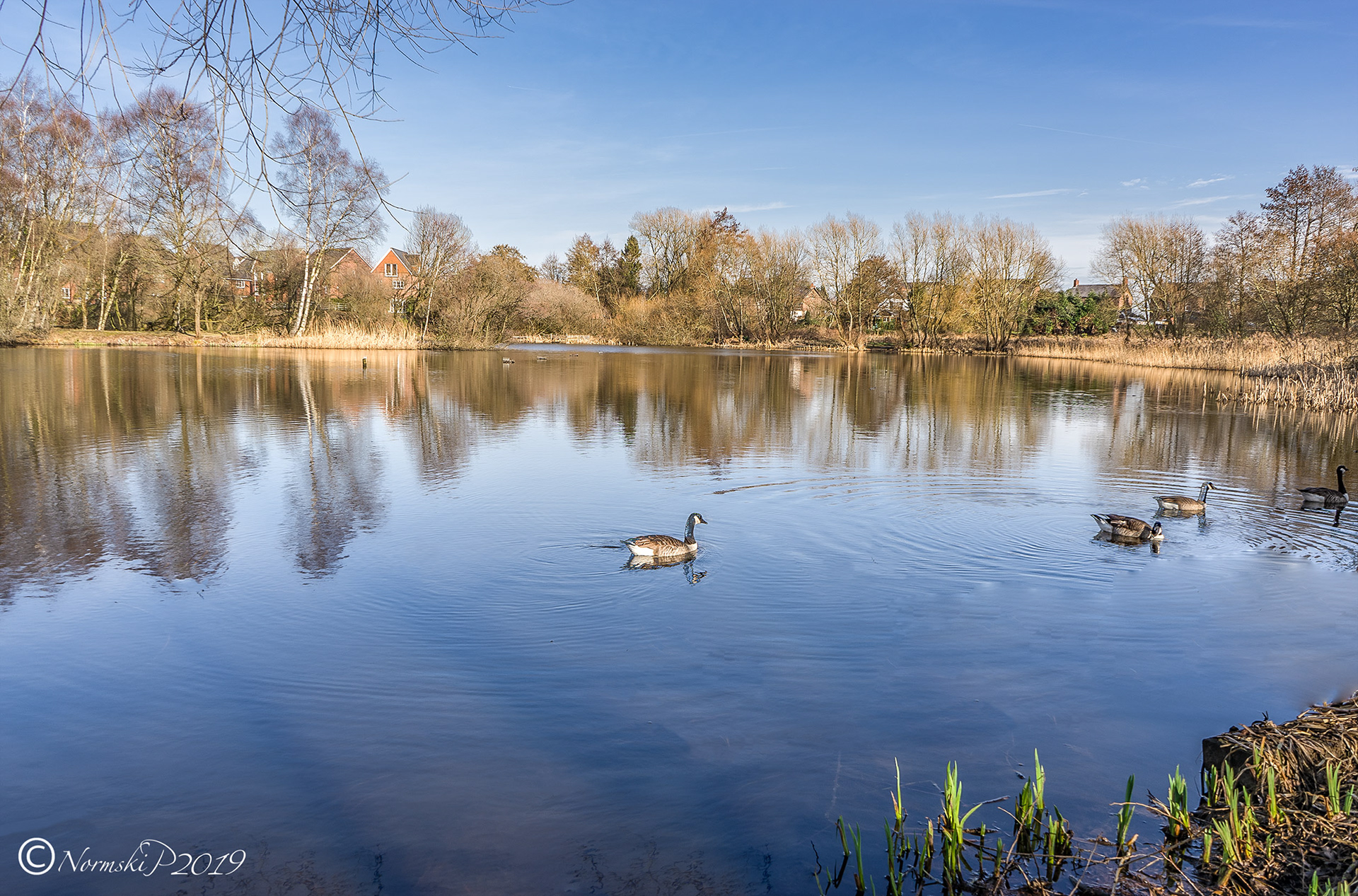 Heatley Mere