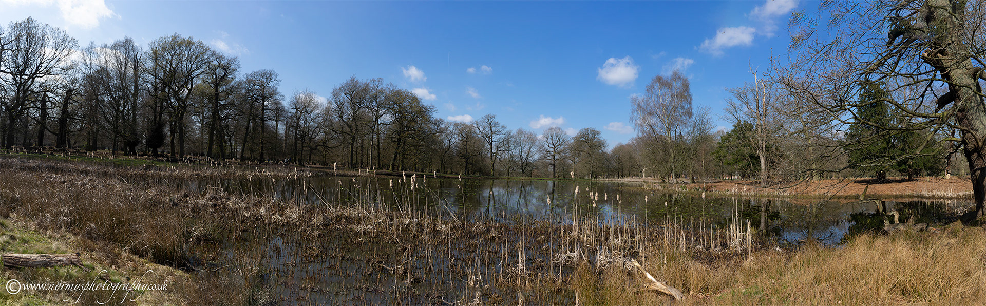 Pano of one of the duck ponds
