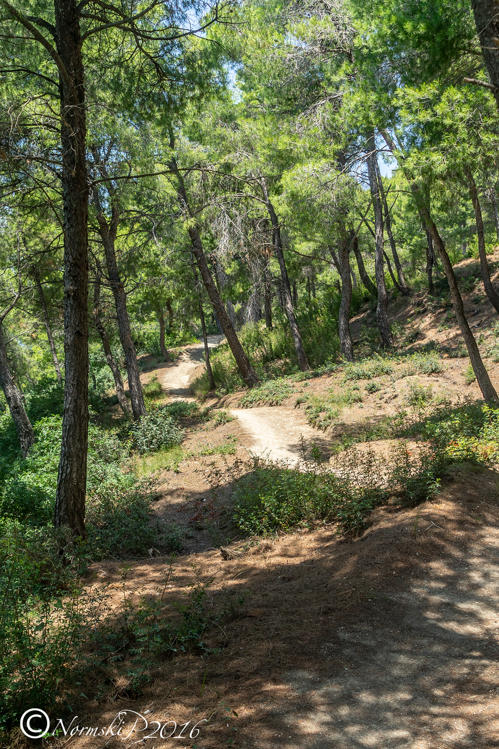 Along the Aegean coast