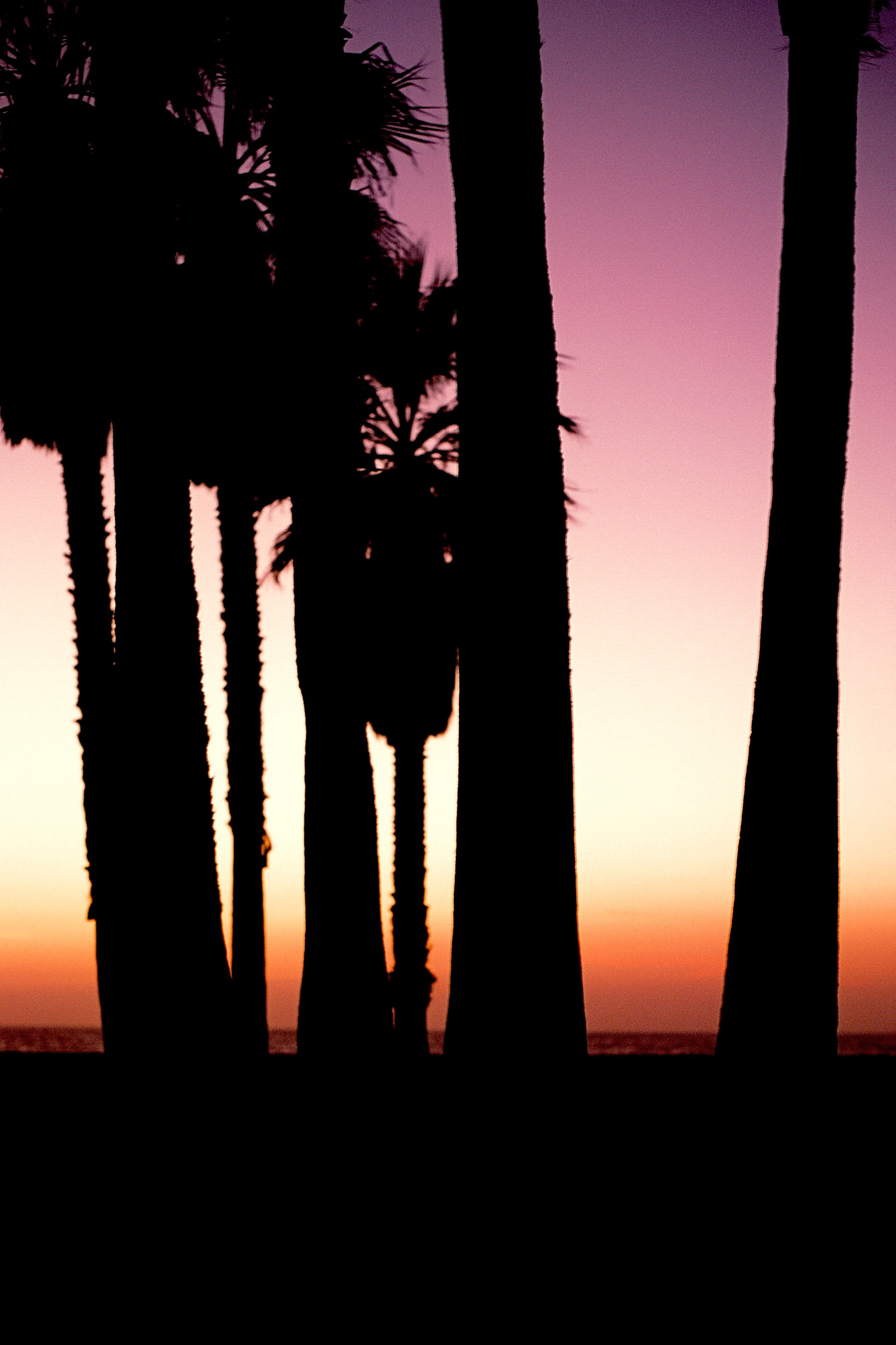 Venice Beach