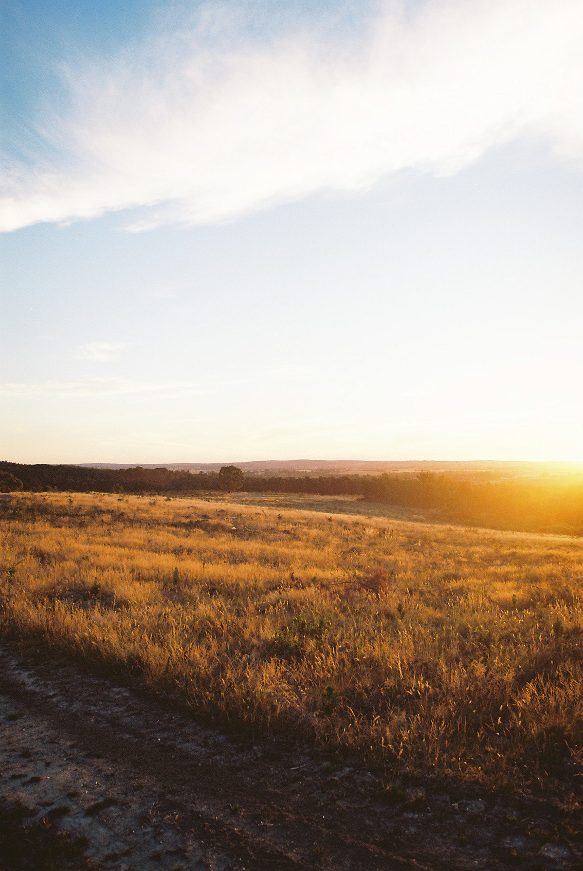 Golden Plains