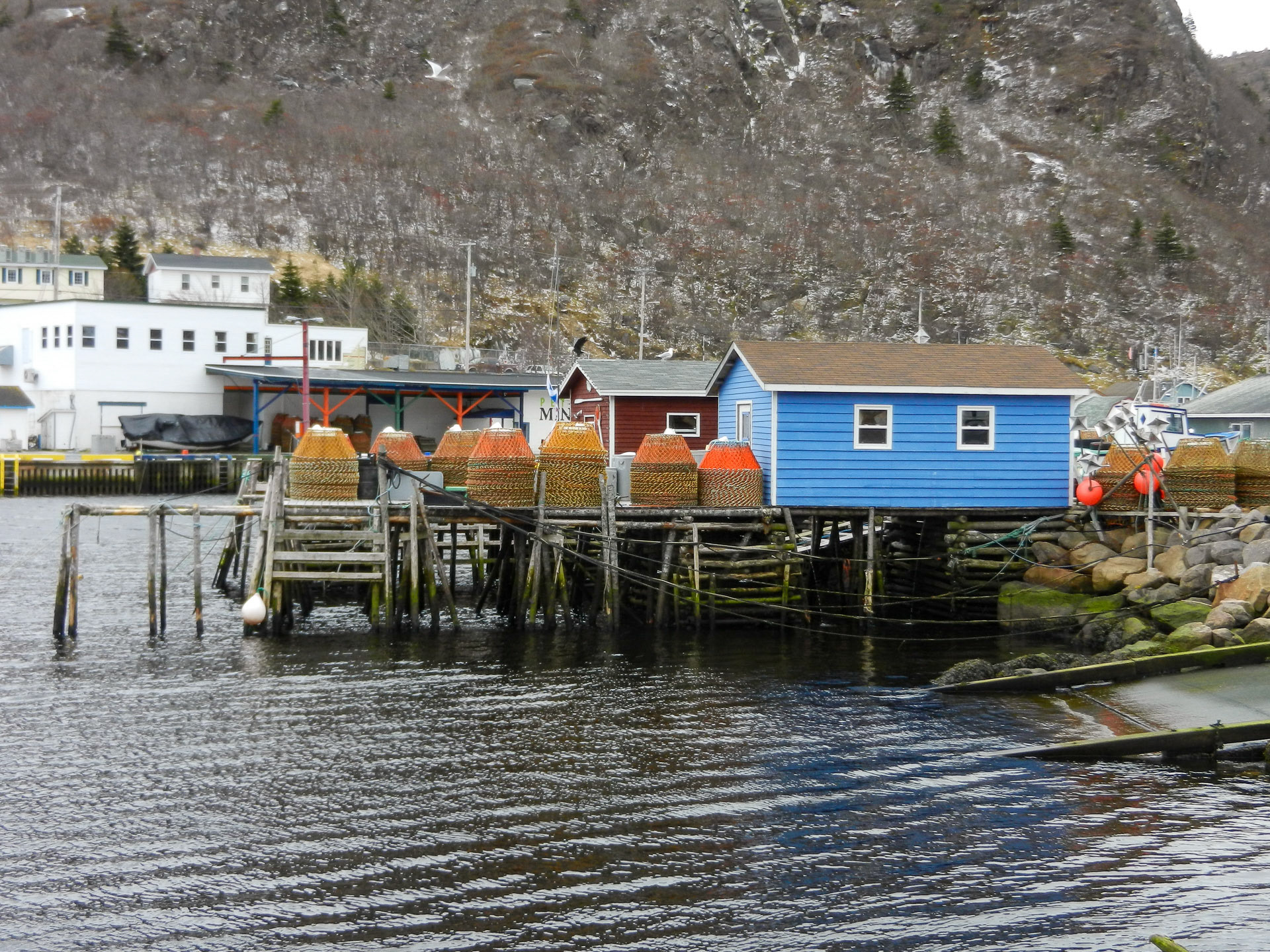 Petty Harbour, NL