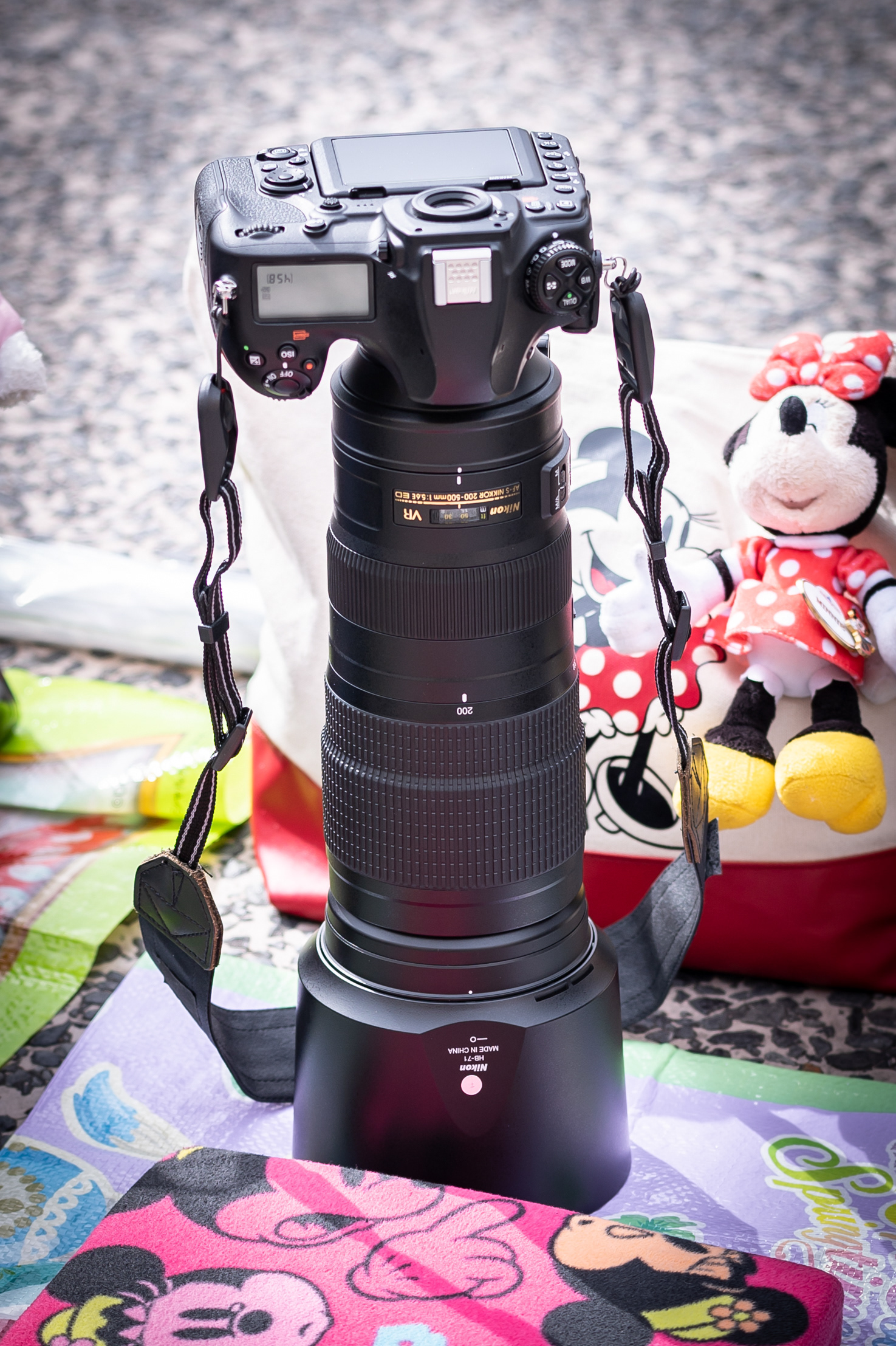 Disney Bella Foto ディズニーベッラフォト ディズニー Dヲタが絶対に知っておくべき一眼レフカメラの扱い方 第2章 ショー待ちリスク編