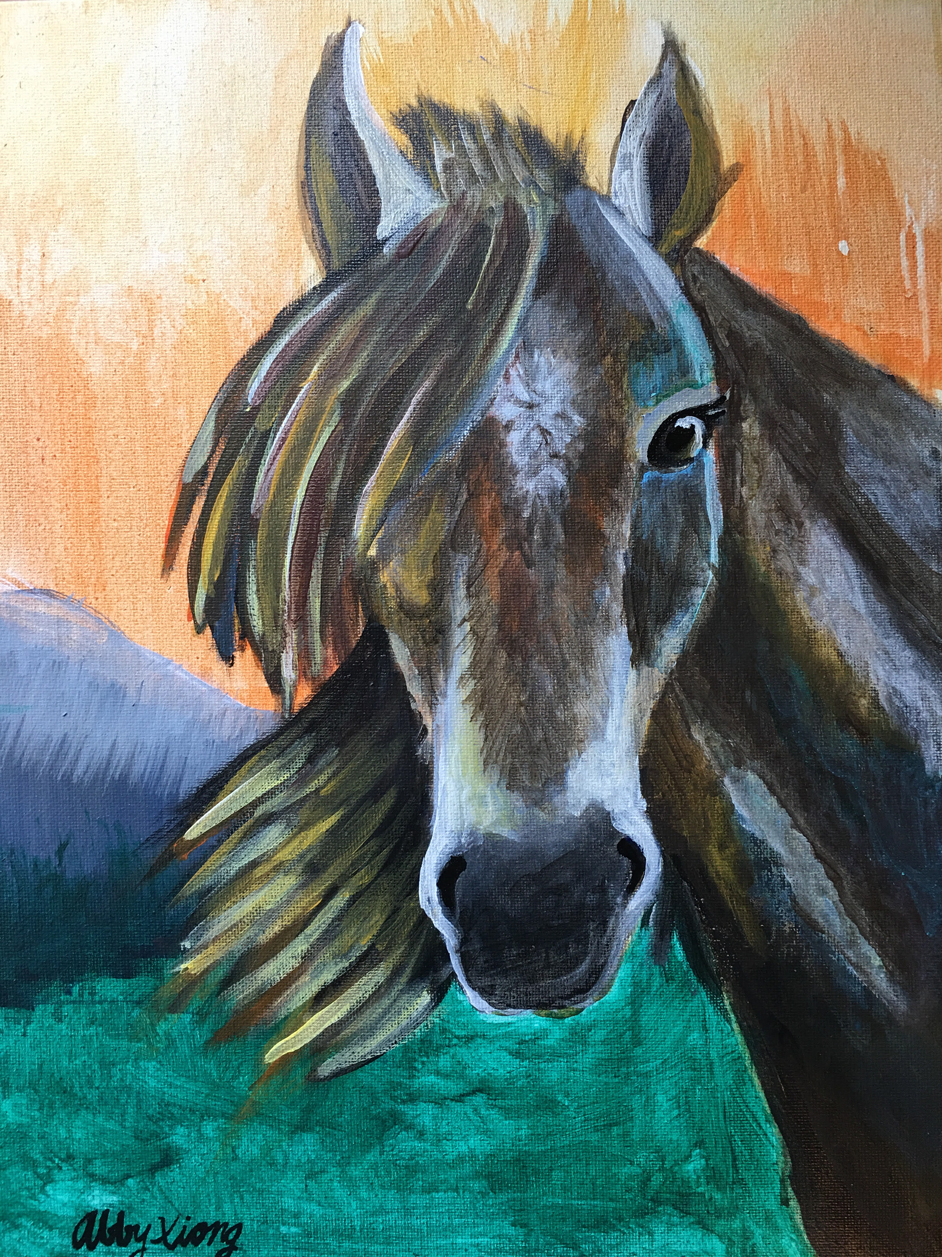Wild horse