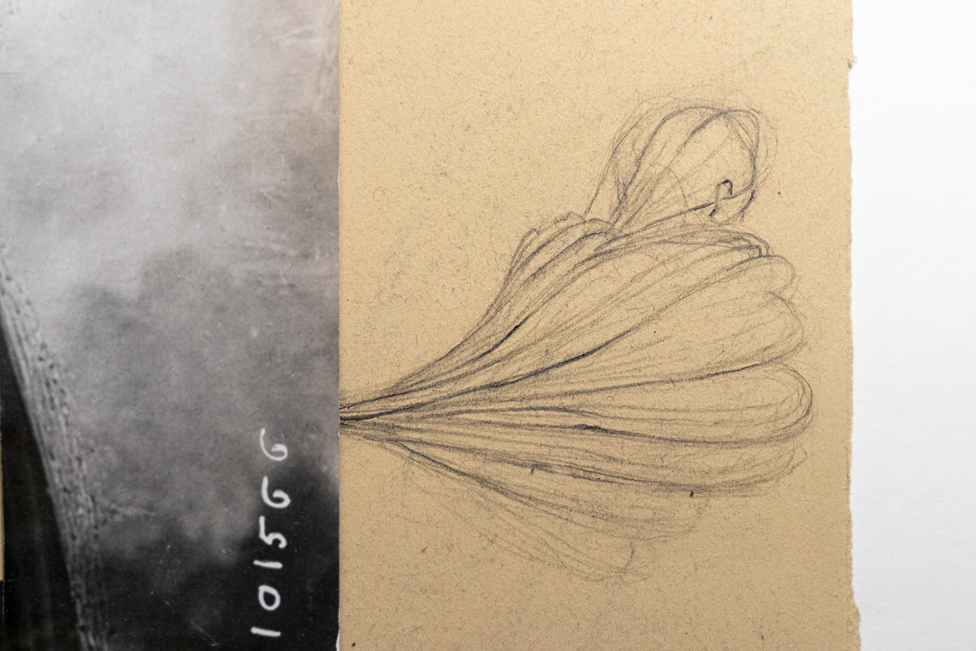 Self-Reflection. Detail 2.