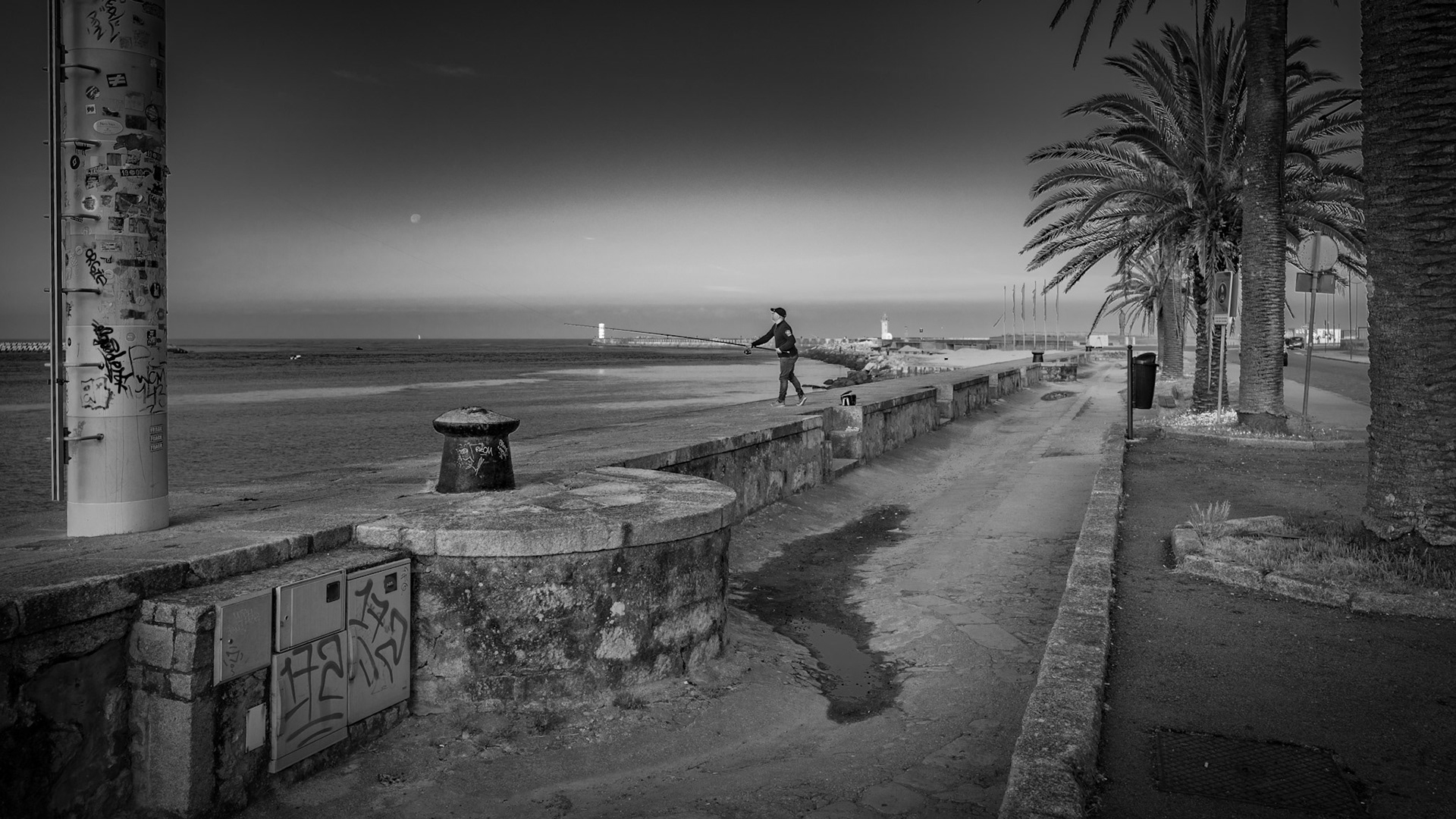Jardim do Passeio Alegre, Oporto, Portugal