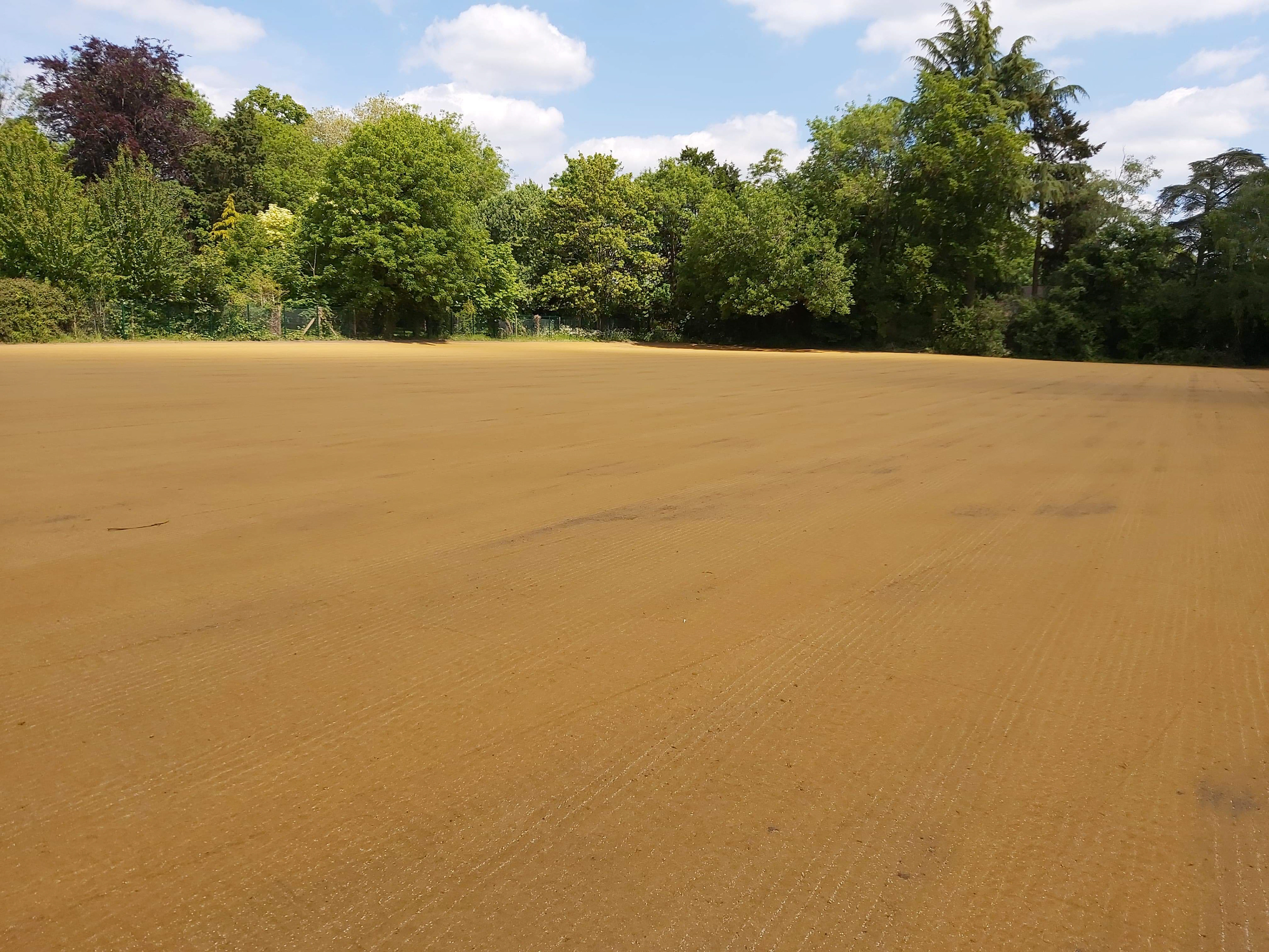SEEDING OF NEW NATURAL PITCH