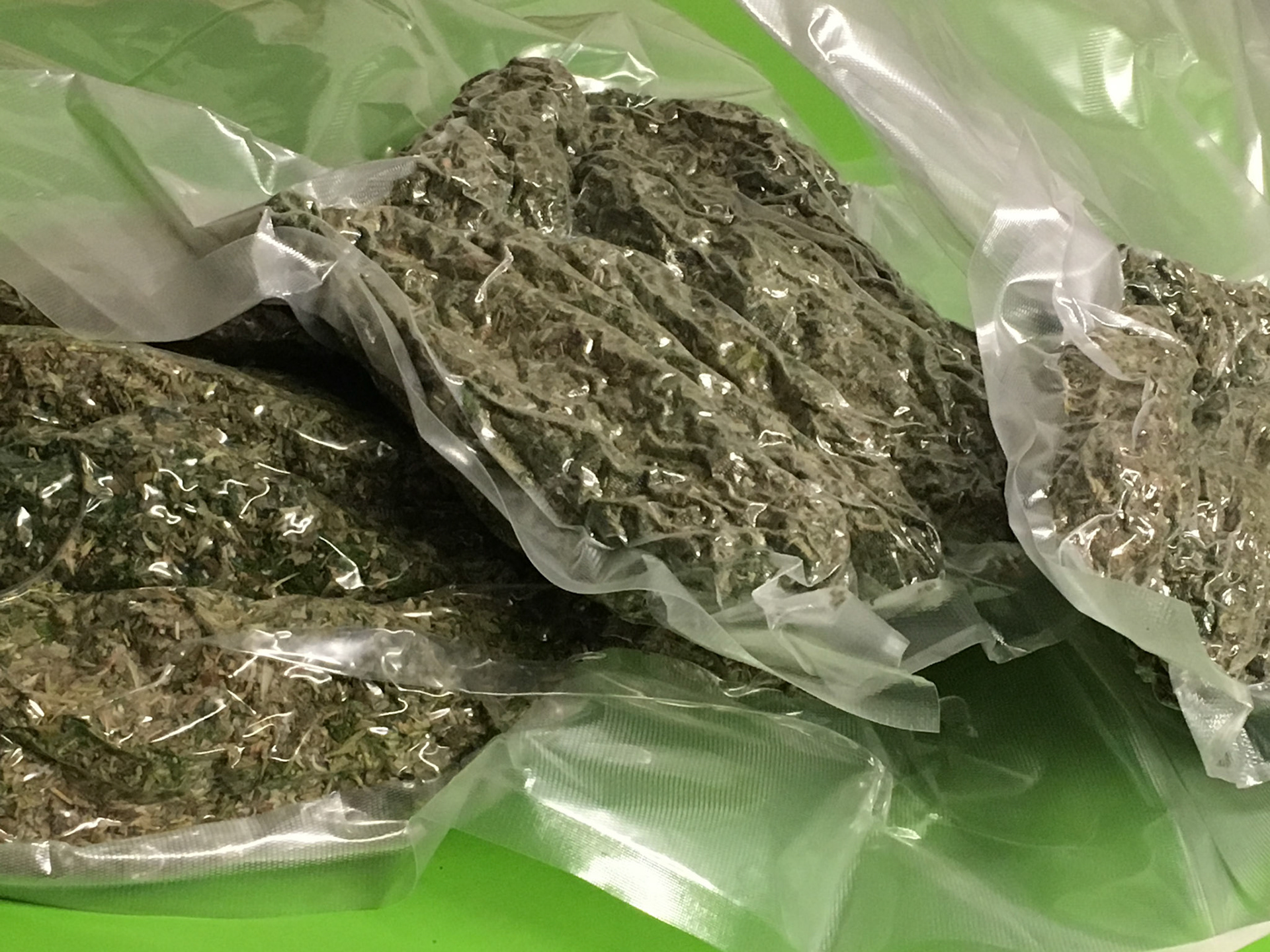 VACUUM PACKED BUDS C/UP A