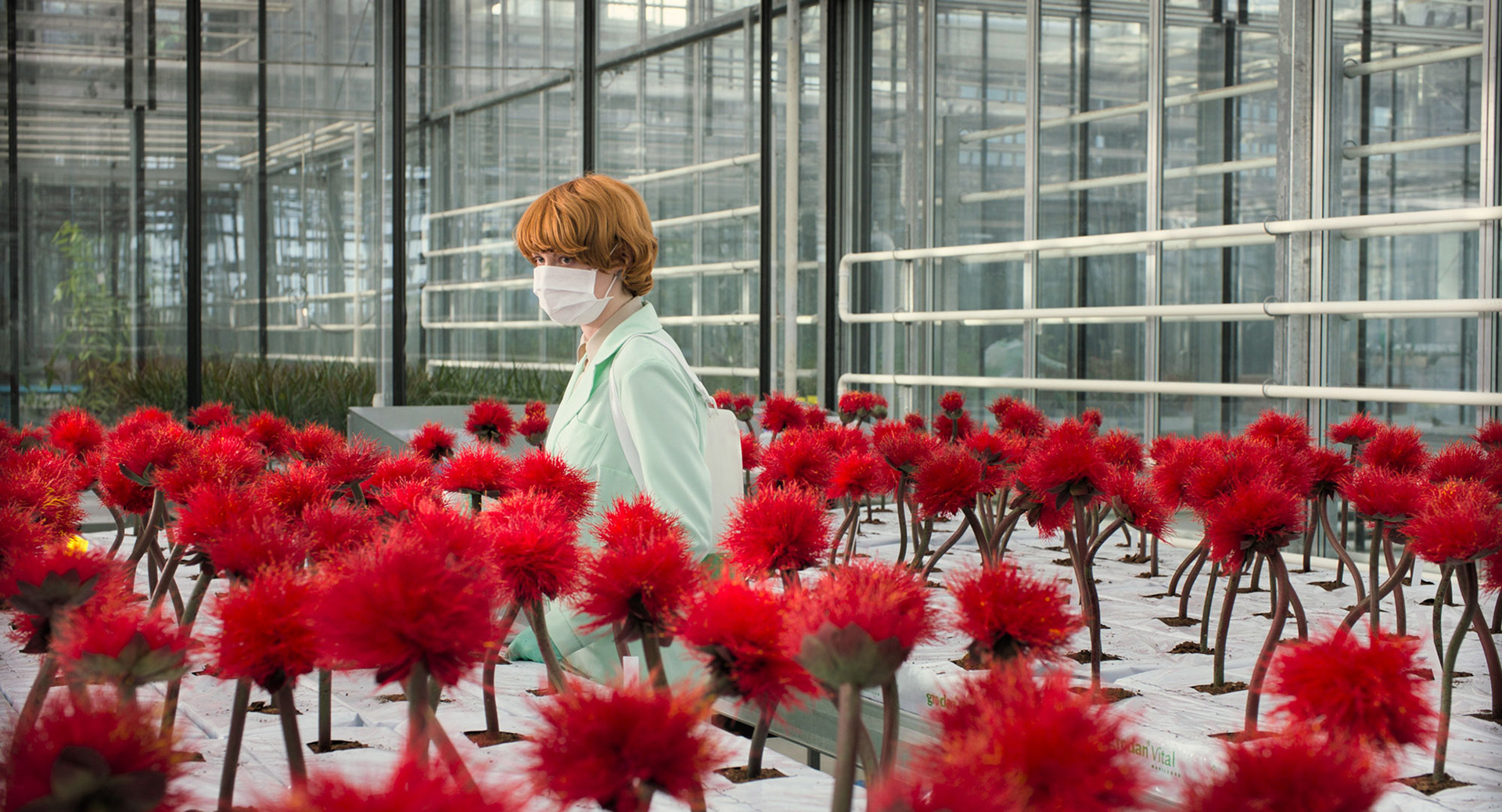 Emily Beecham in Little Joe (© coop99 filmproduktion)