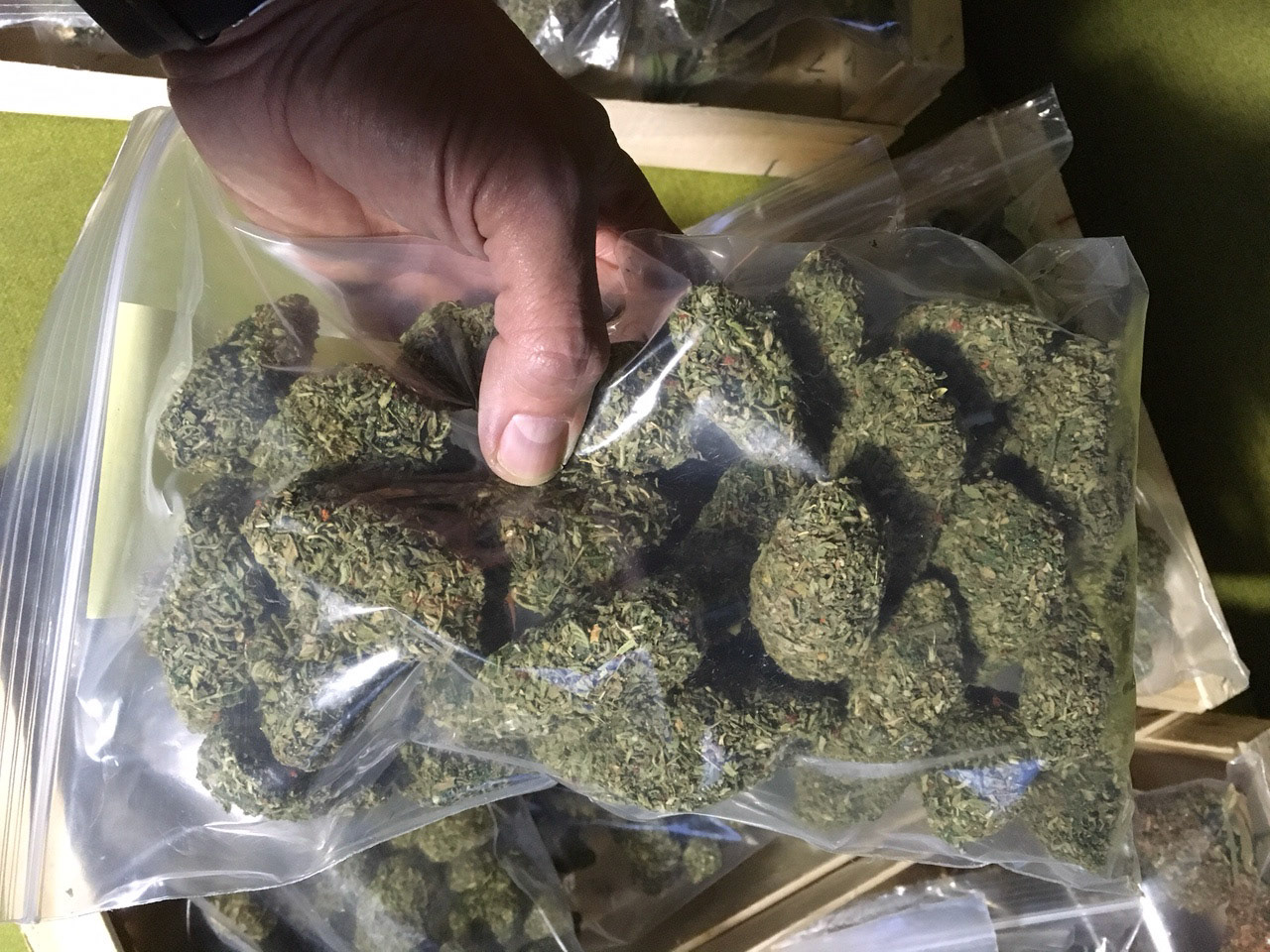 LOSE BUDS A4 Bag
