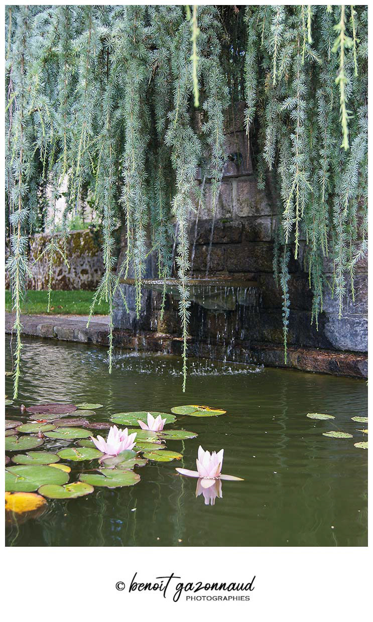 Jardin de l'évêché