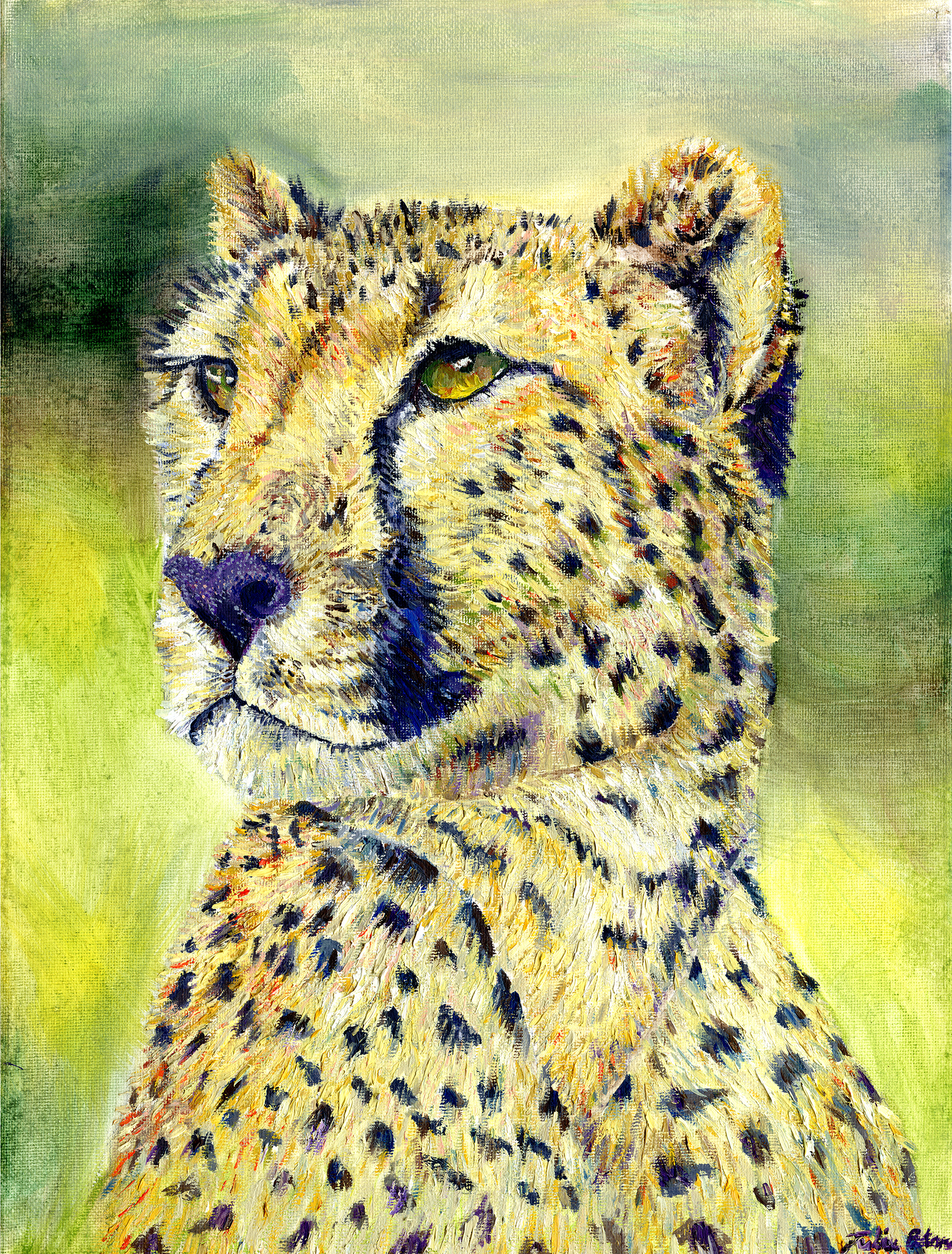 Maeve's Cheetah