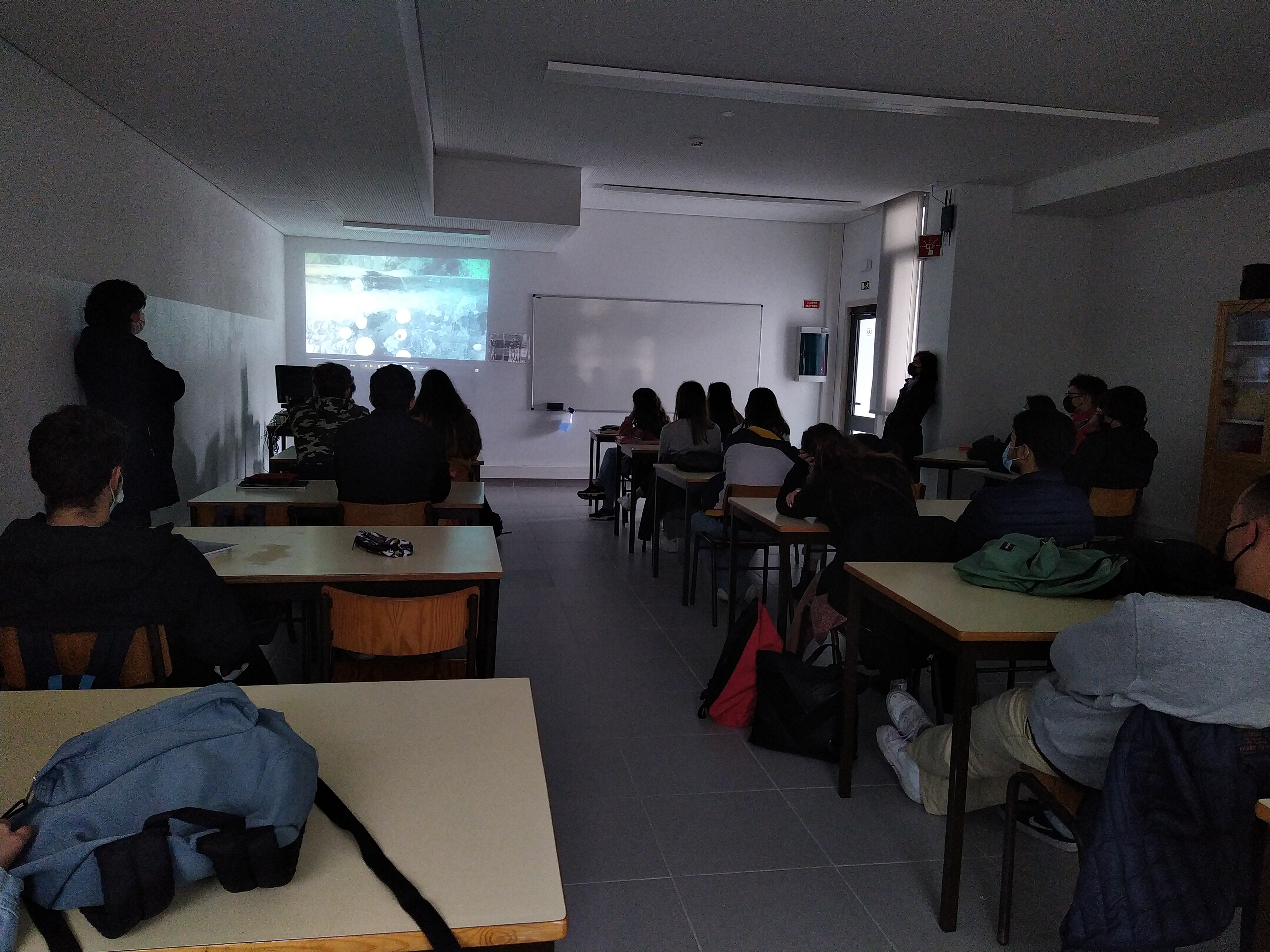 Oficina de Educação Visual e Ambiental promovida pelos Amigos do Cáster - Escola Júlio Dinis