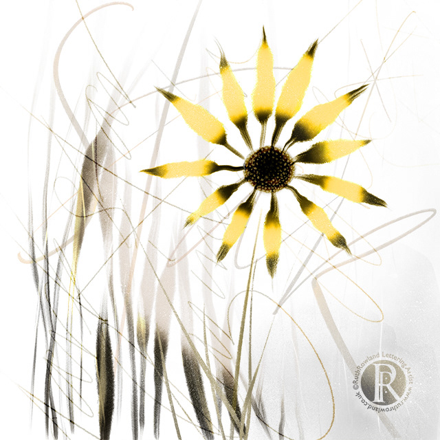 Dark Star Daisy . Flower Illustration