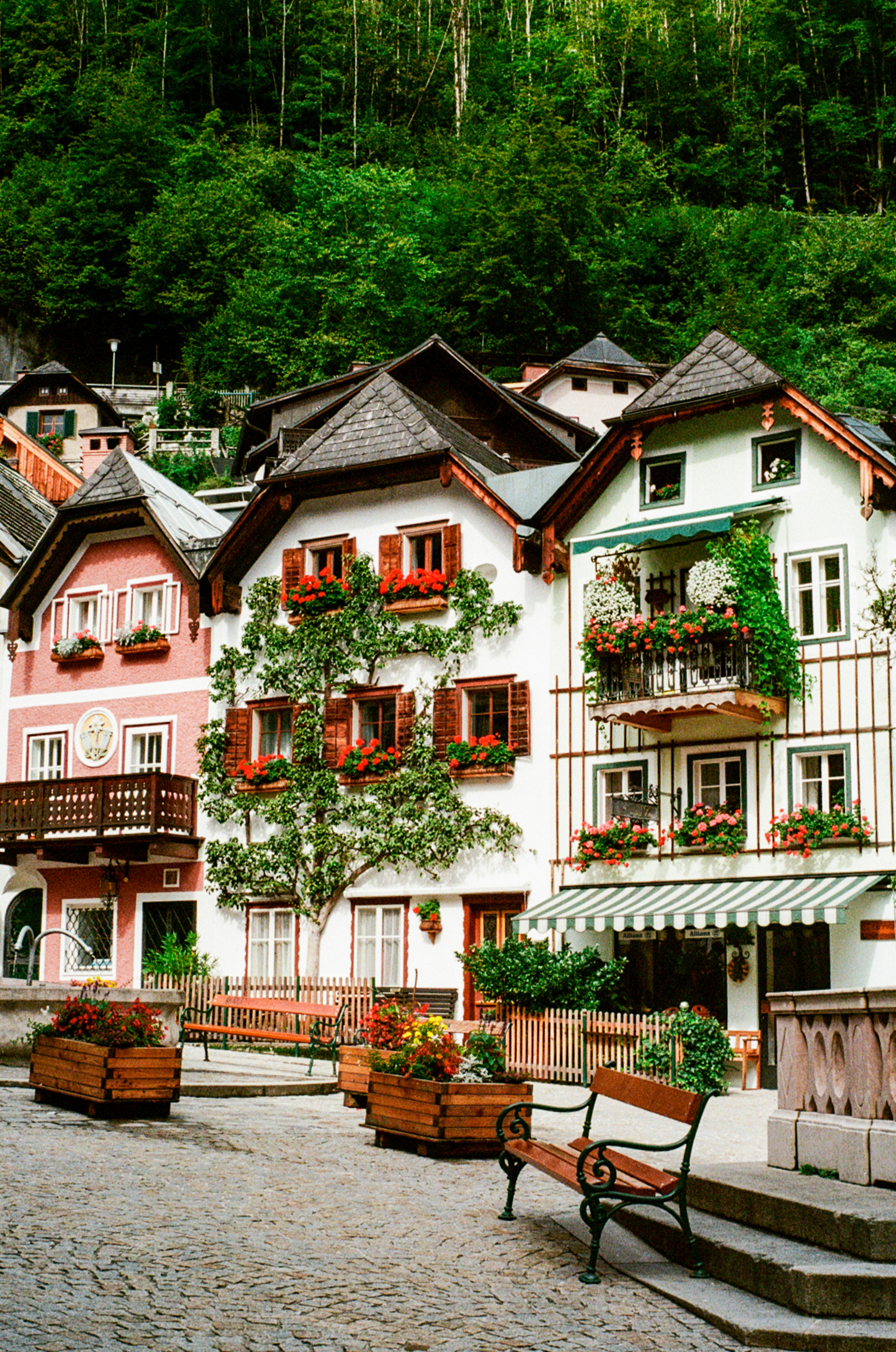 Hallstatt shops