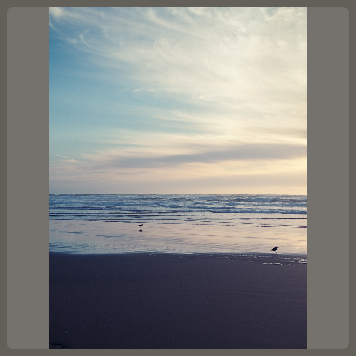 Ocean Beach, Outer Sunset, San Francisco, CA, USA, Pete Gardner, Photographer, London, UK, © Copyright Pete Gardner