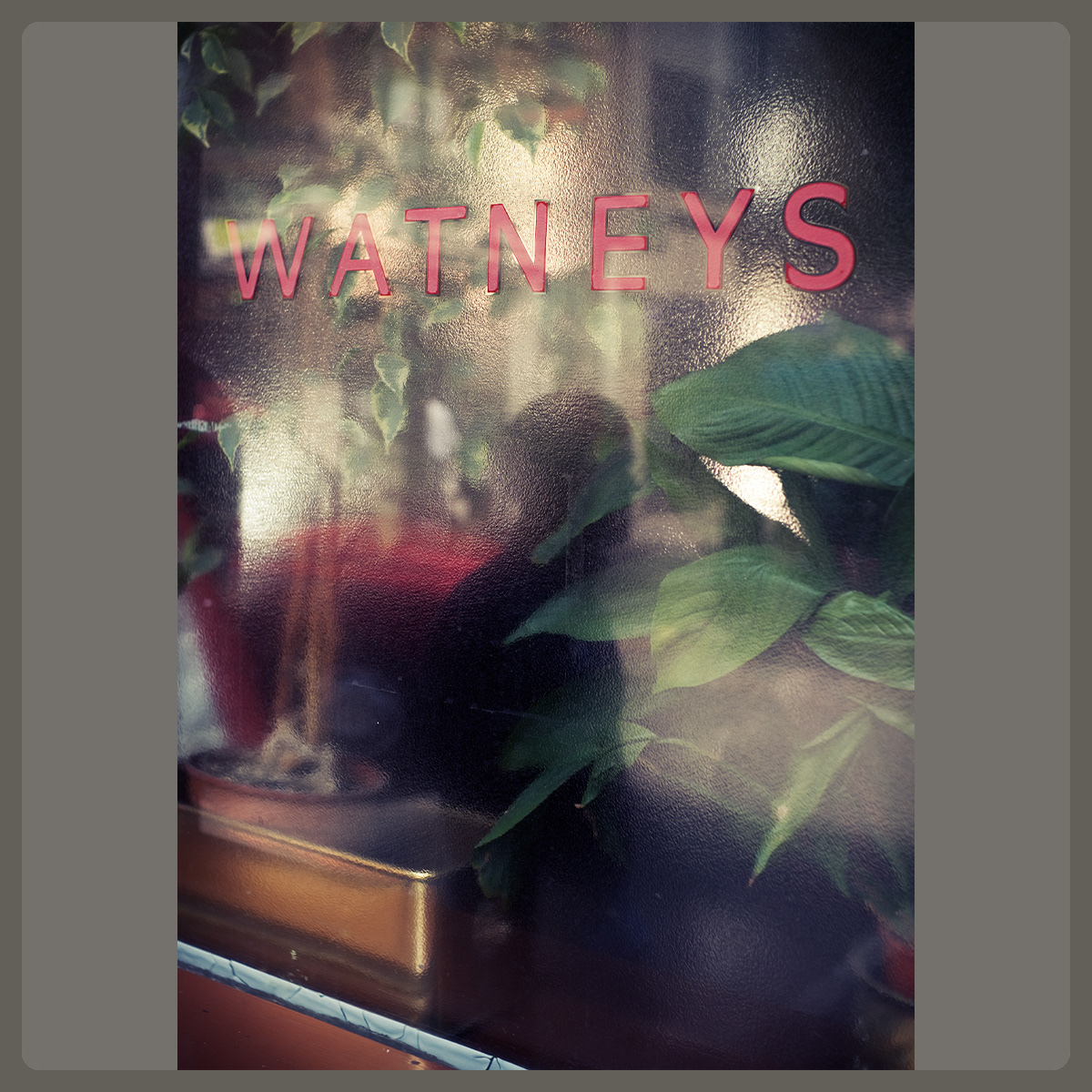 Berwick Street, Soho, London, Pete Gardner, Photographer, London, UK, © Copyright Pete Gardner