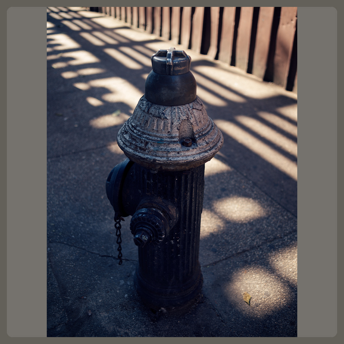 queens, ny, Pete Gardner, Photographer, London, UK, © Copyright Pete Gardner