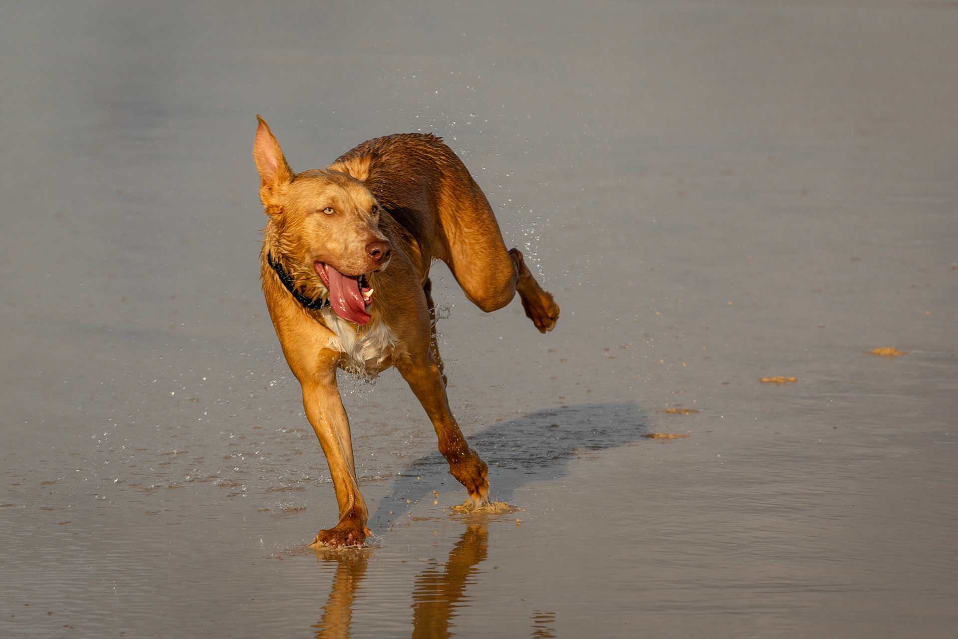 Fun on the Beach - Yamba