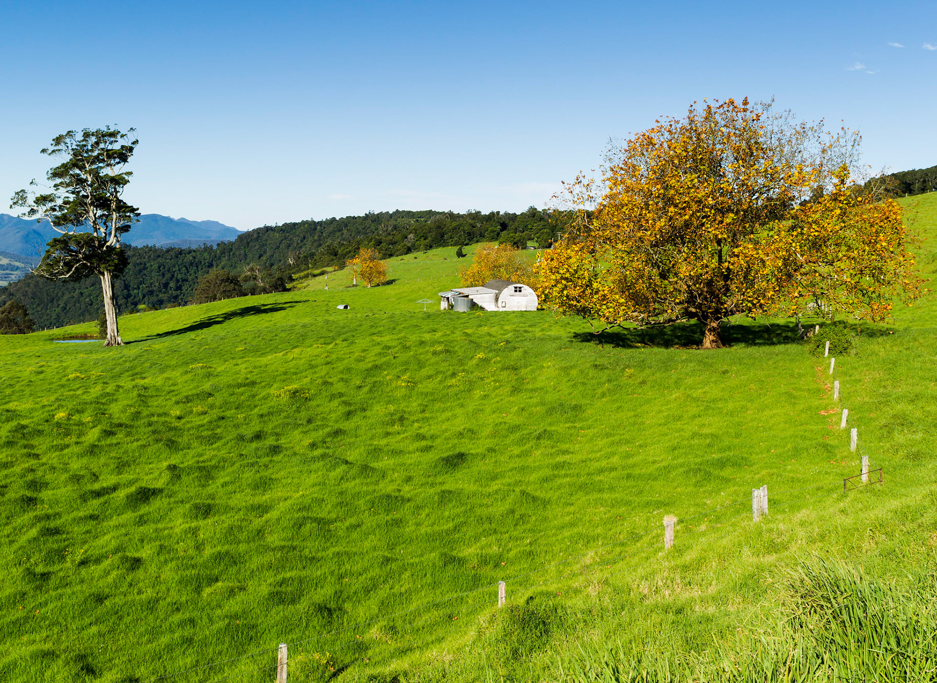 Farmstead - Carrs Lookout near Queen Mary Falls