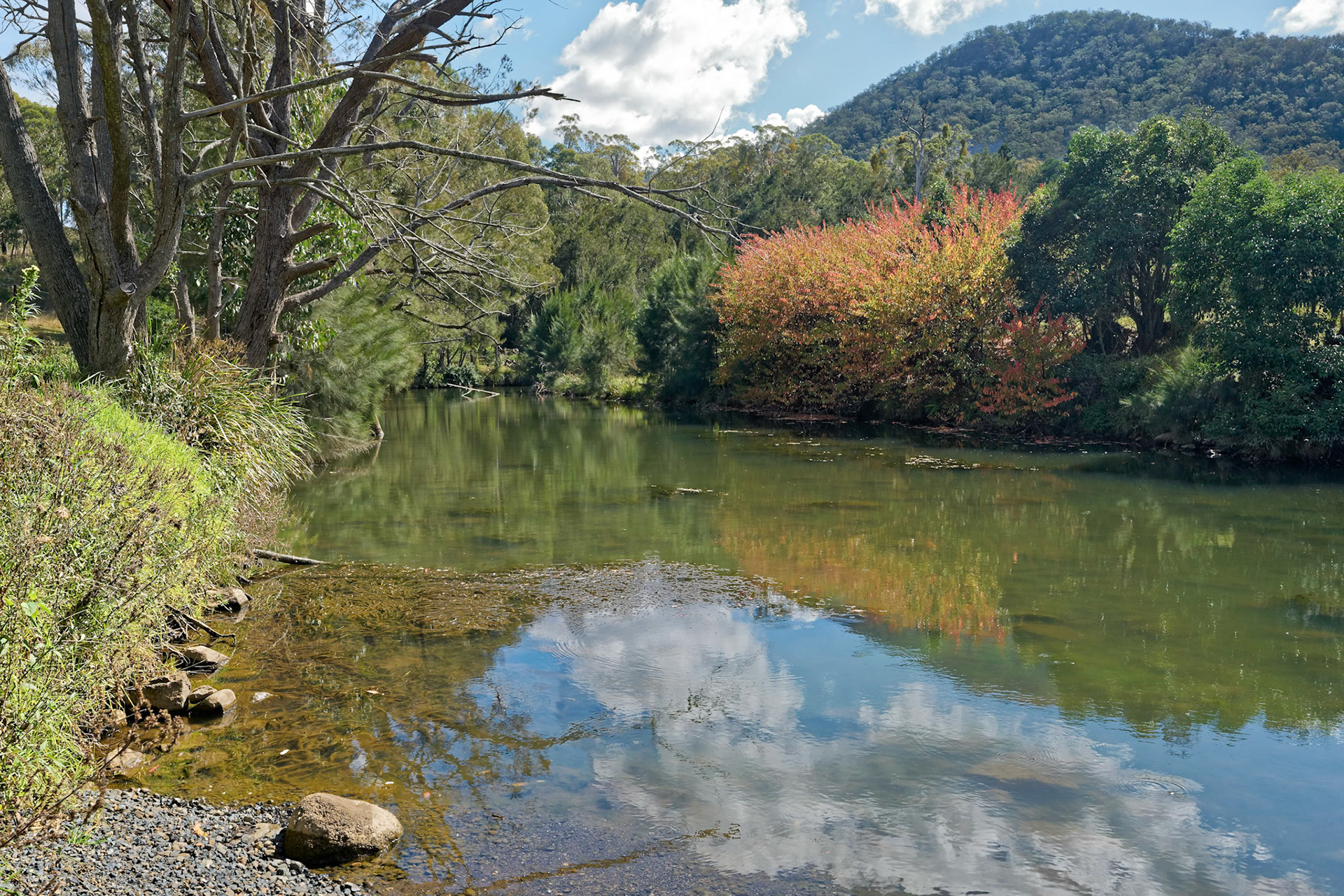 Autumn Colour - Creek crossing, Upper Condamine Gorge Road