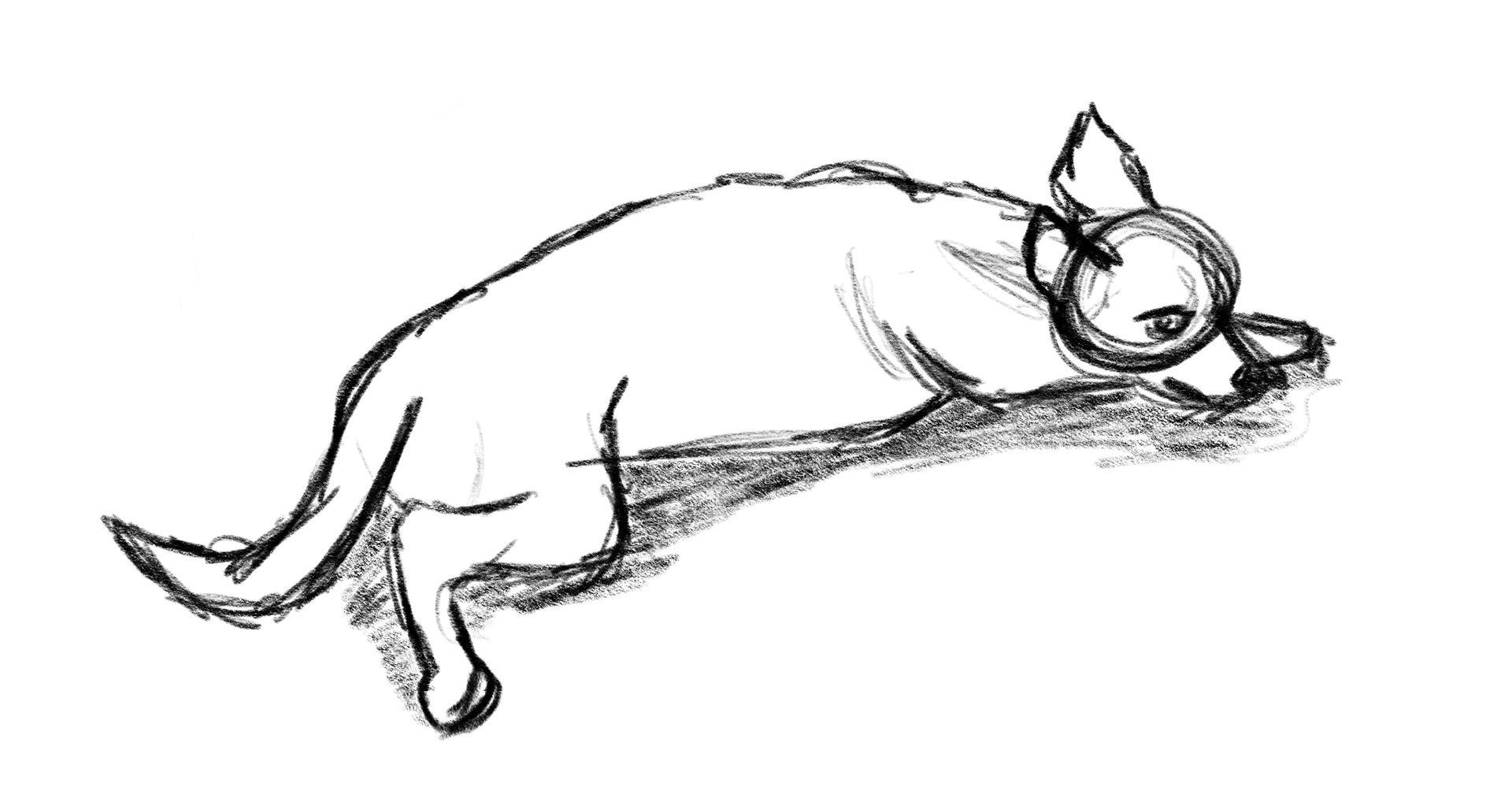 Sleeping Dog Sketch - Digital