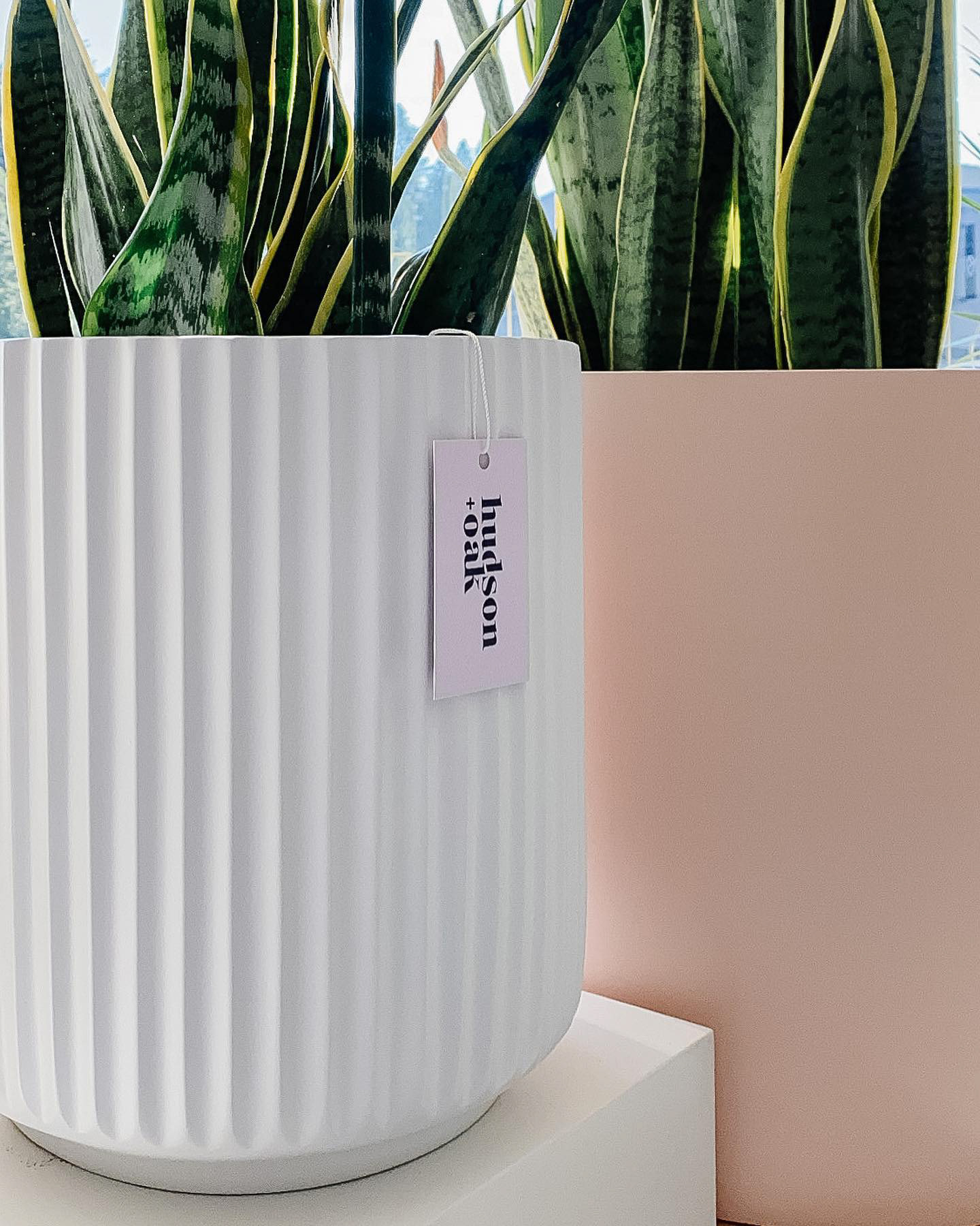 Logo design for Hudson + Oak