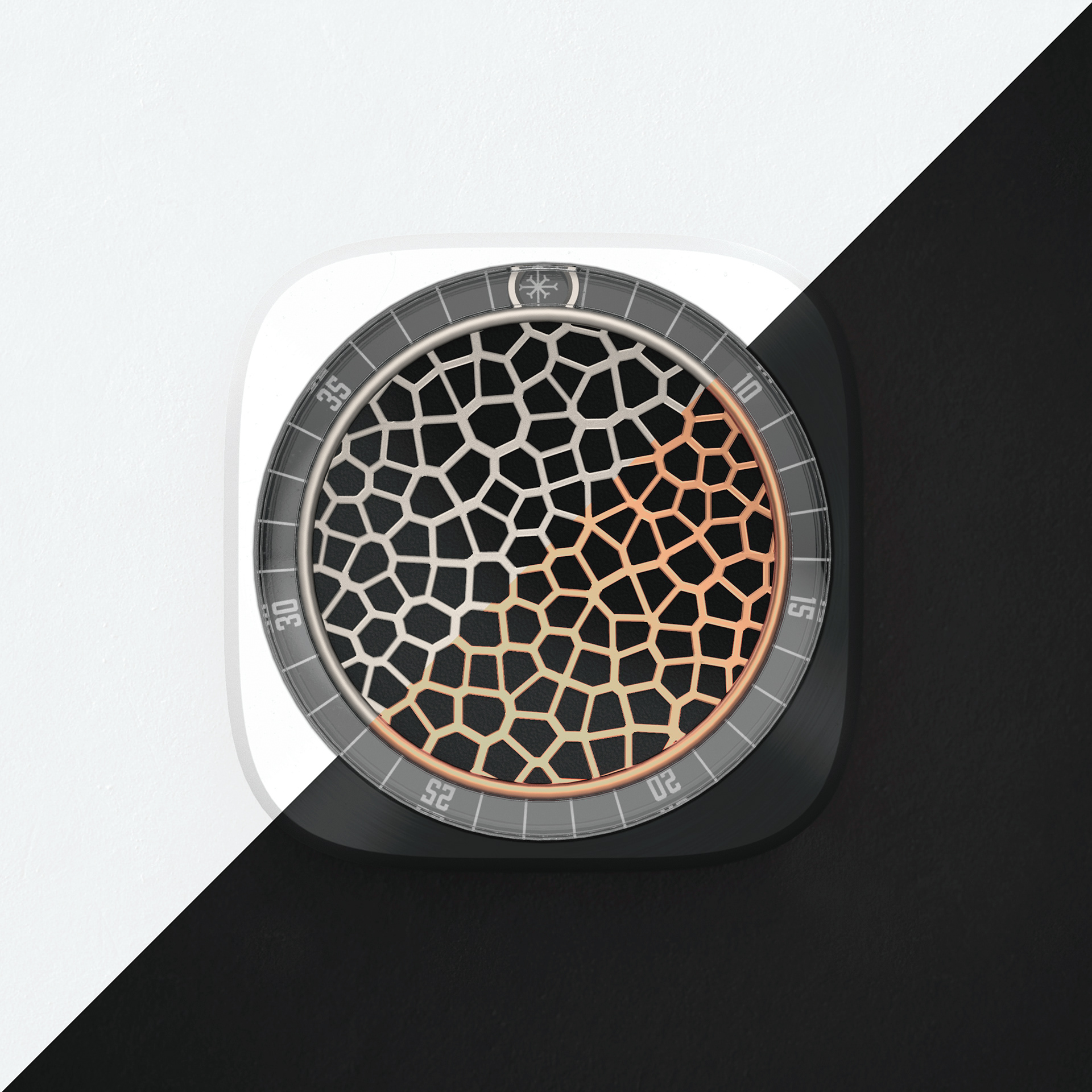 a smart thermostat