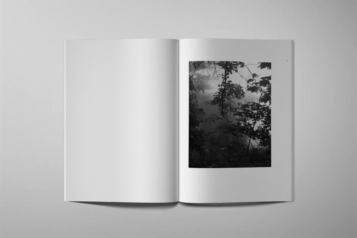 Beispiel grafische Buchgestaltung