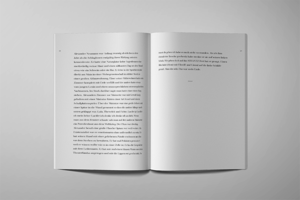 Beispiel grafische Buchgestaltung