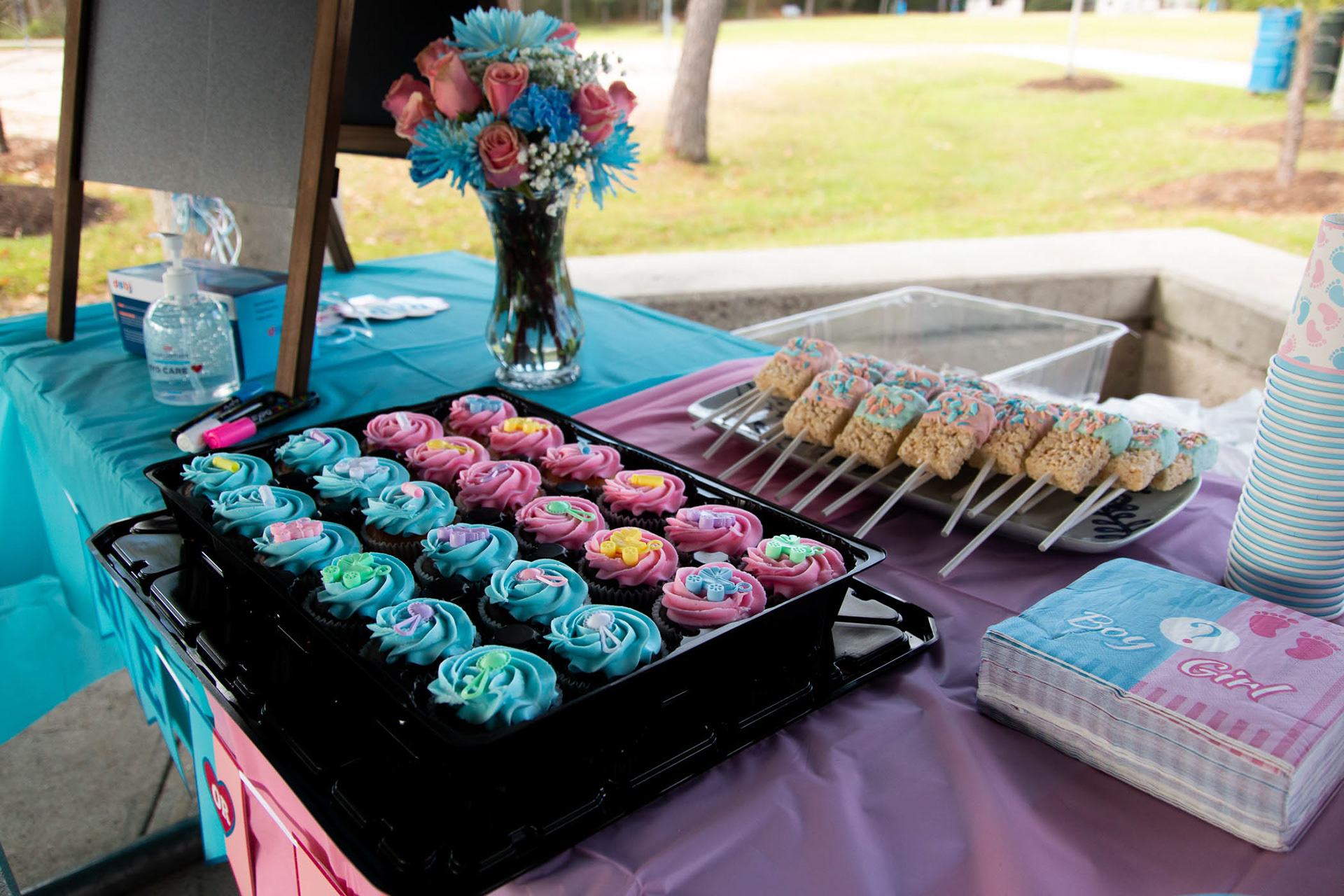 Rafael + Elise Gender Reveal | The Woodlands, TX