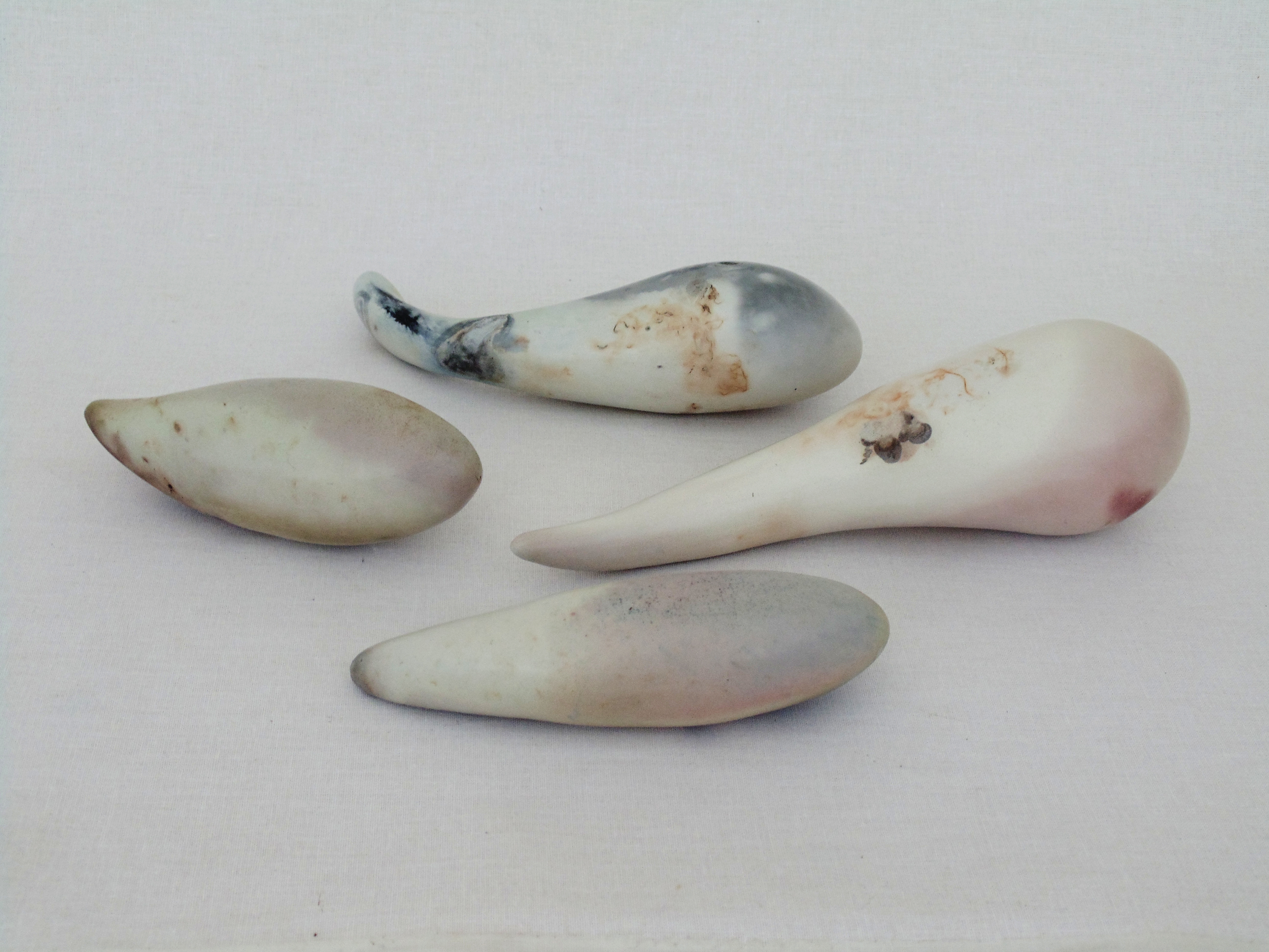 4 Cellular Forms